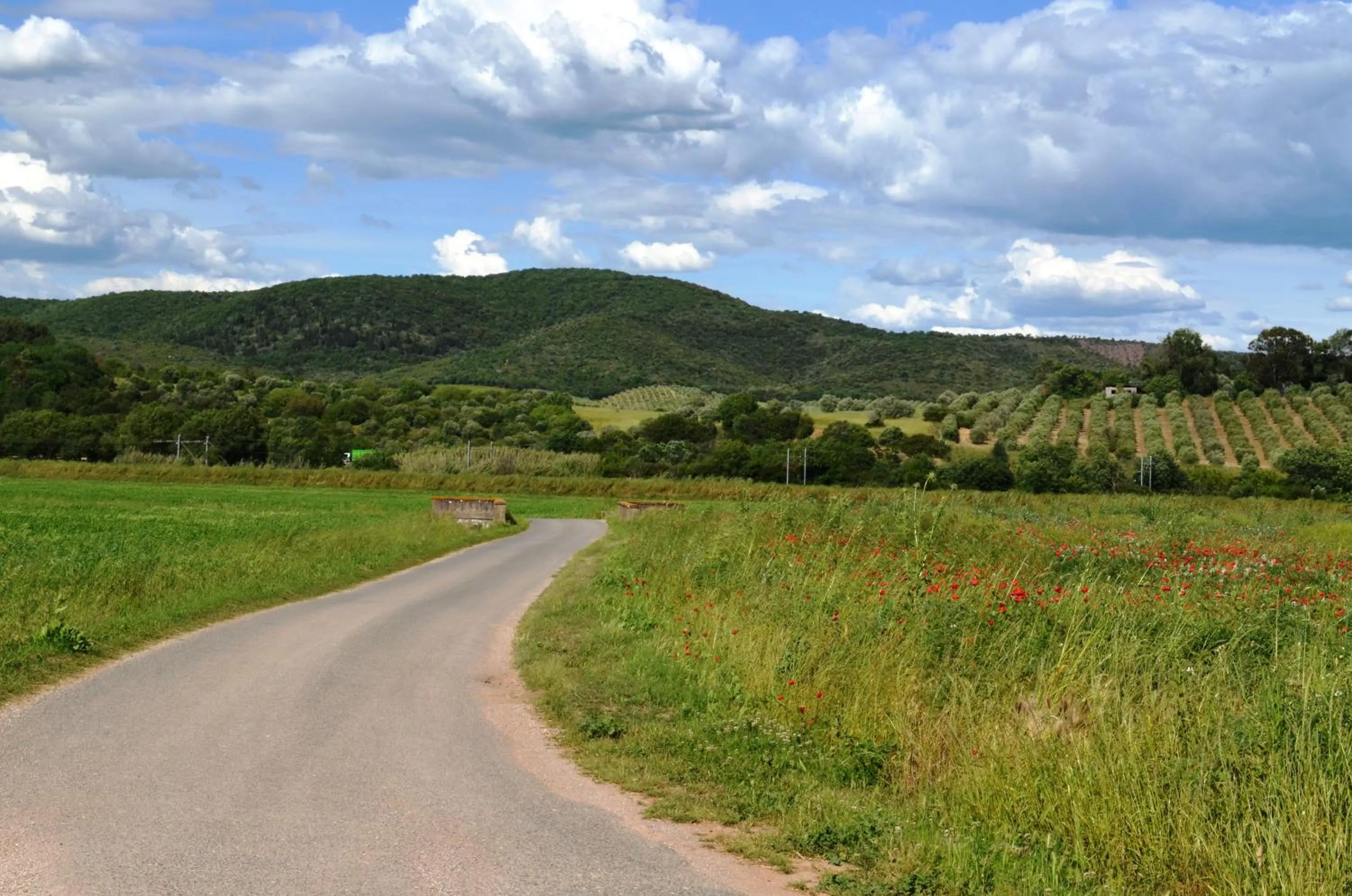 Spring in Tenuta Agricola dell'Uccellina