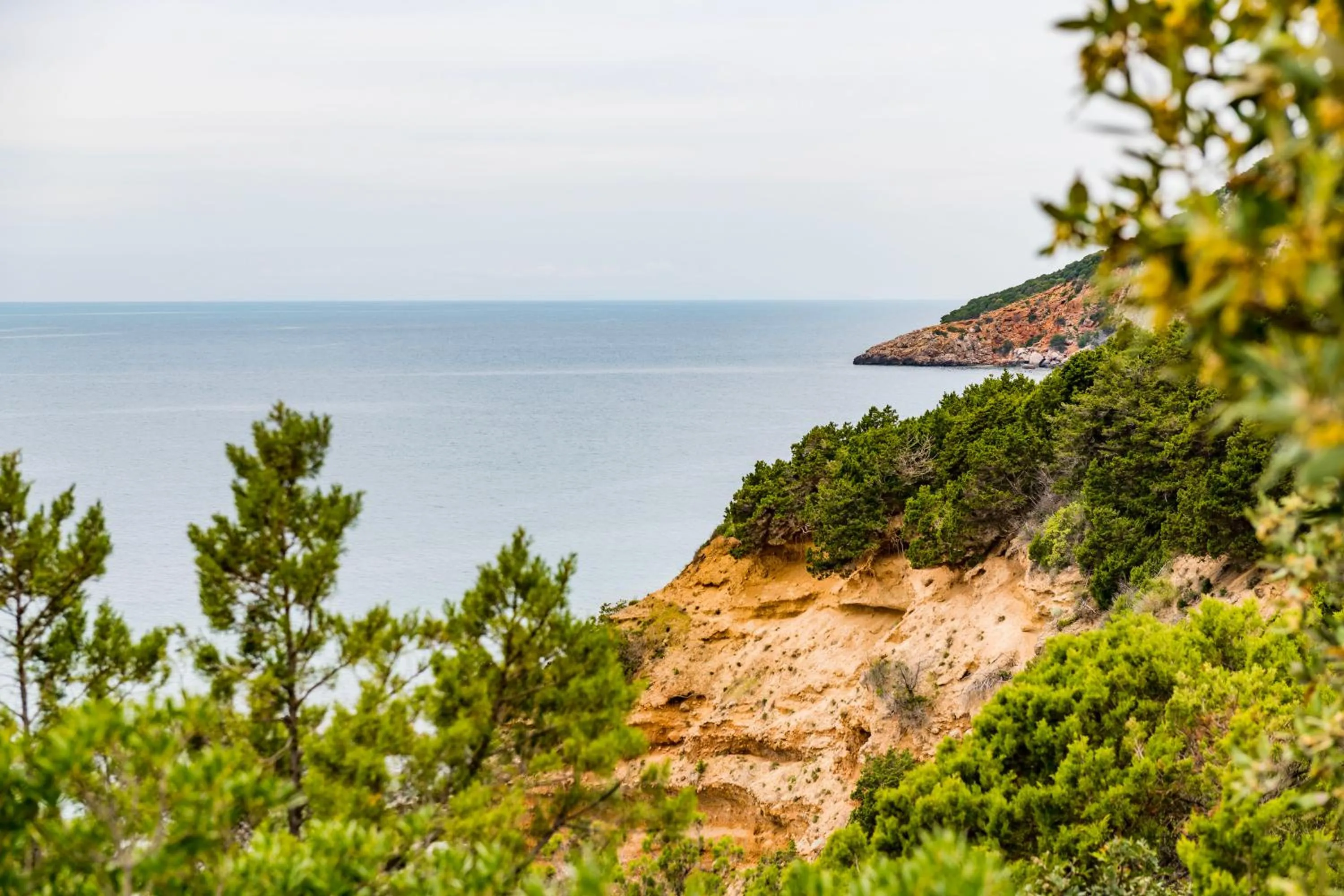 Natural landscape in Tenuta Agricola dell'Uccellina