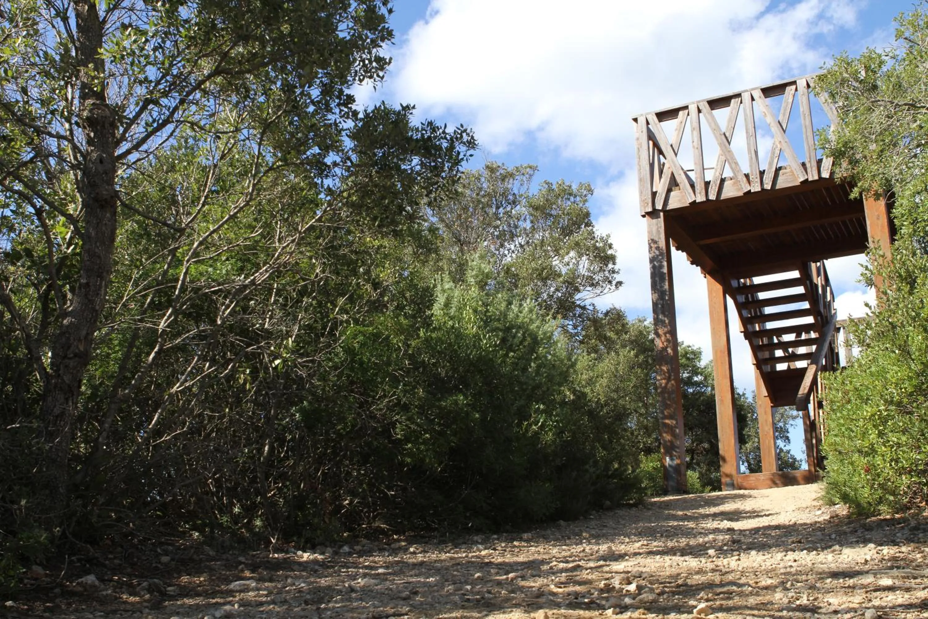 Natural landscape in Tenuta Agricola dell'Uccellina