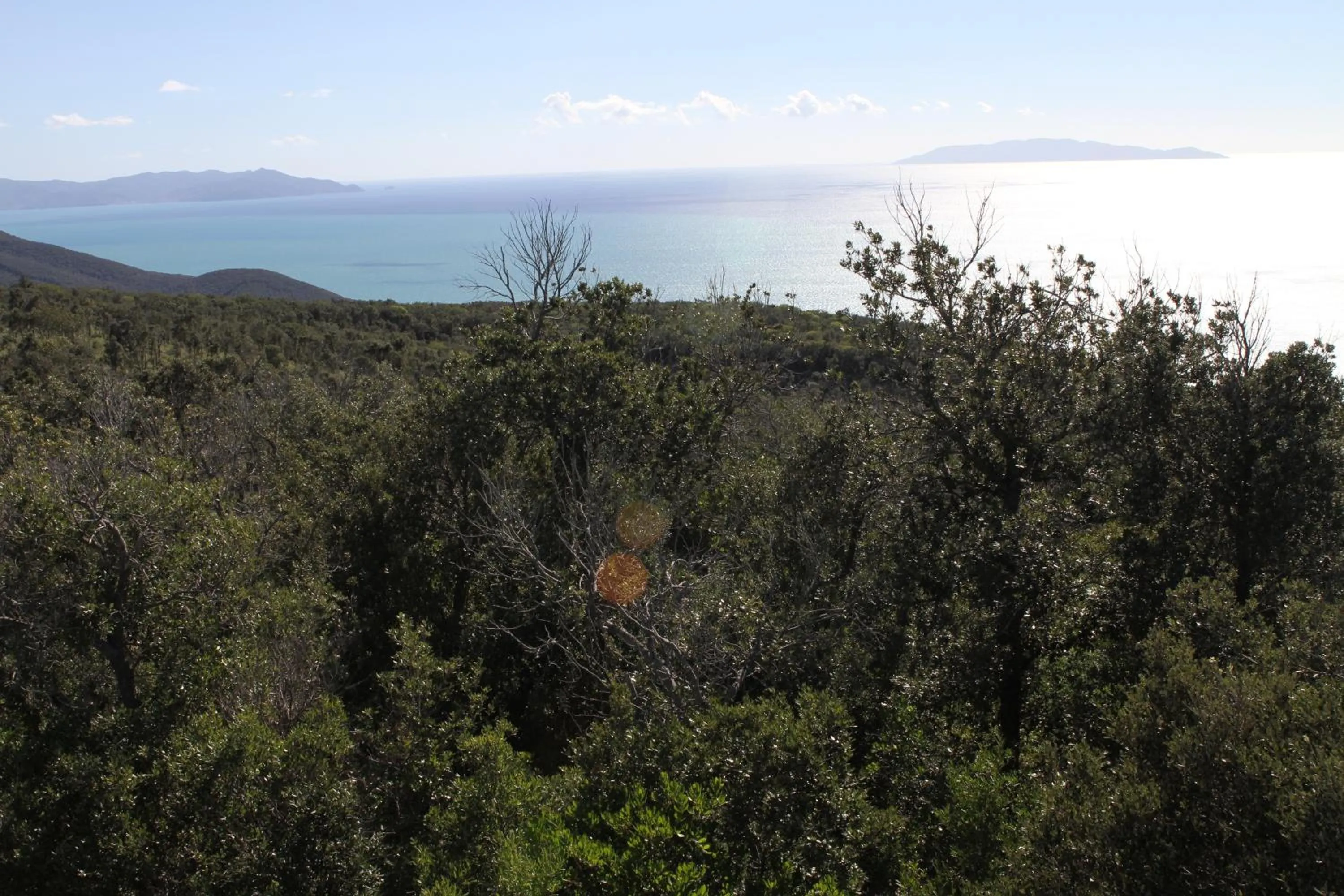 Natural landscape in Tenuta Agricola dell'Uccellina