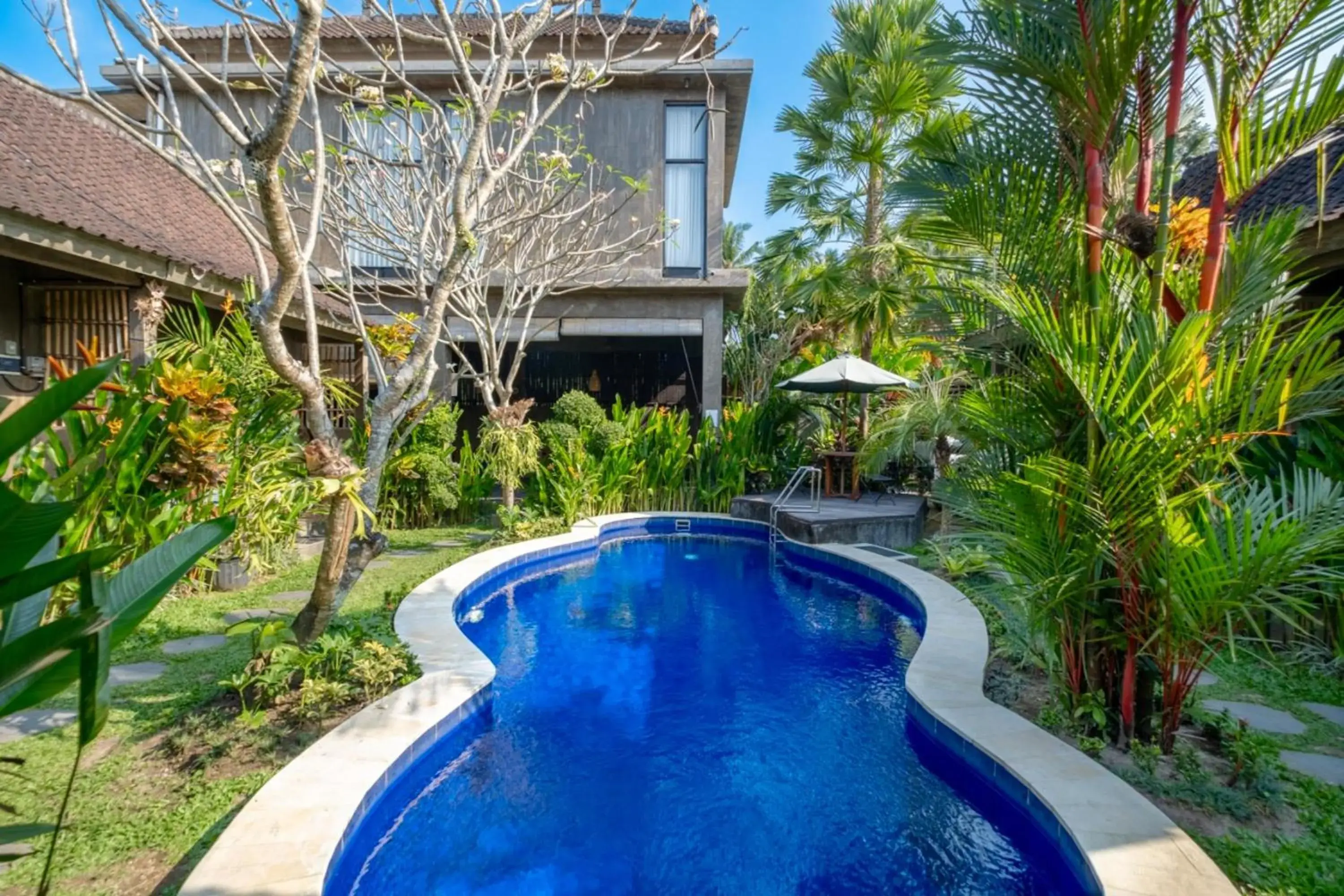 Swimming pool in Elemento Homestay Badung Swimming pool in Elemento Homestay Badung