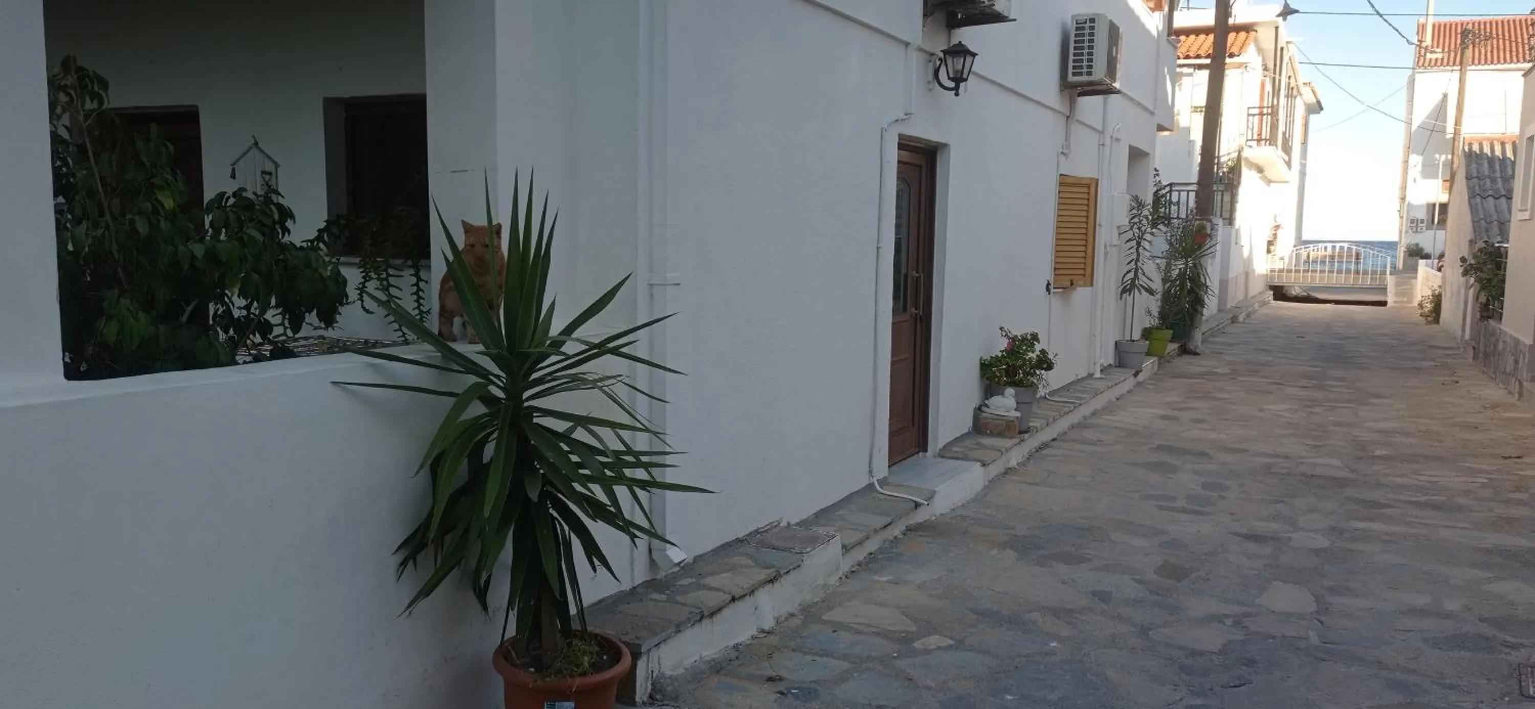 Quiet street view in Veroniki Studios