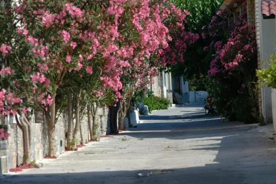Neighbourhood in Veroniki Studios