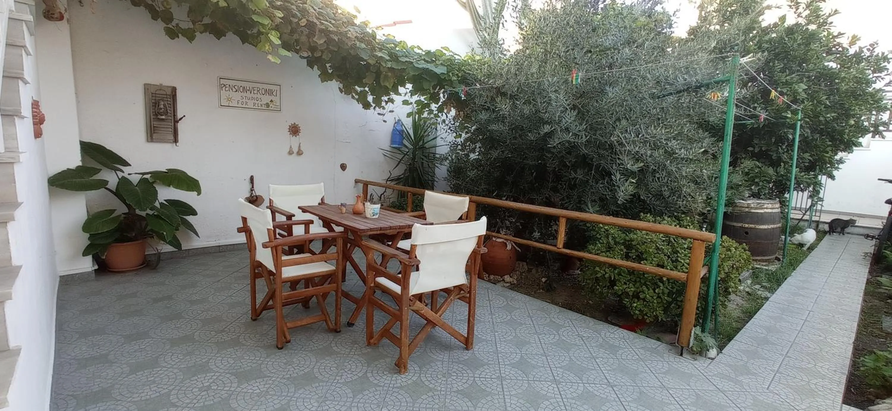 Garden in Veroniki Studios