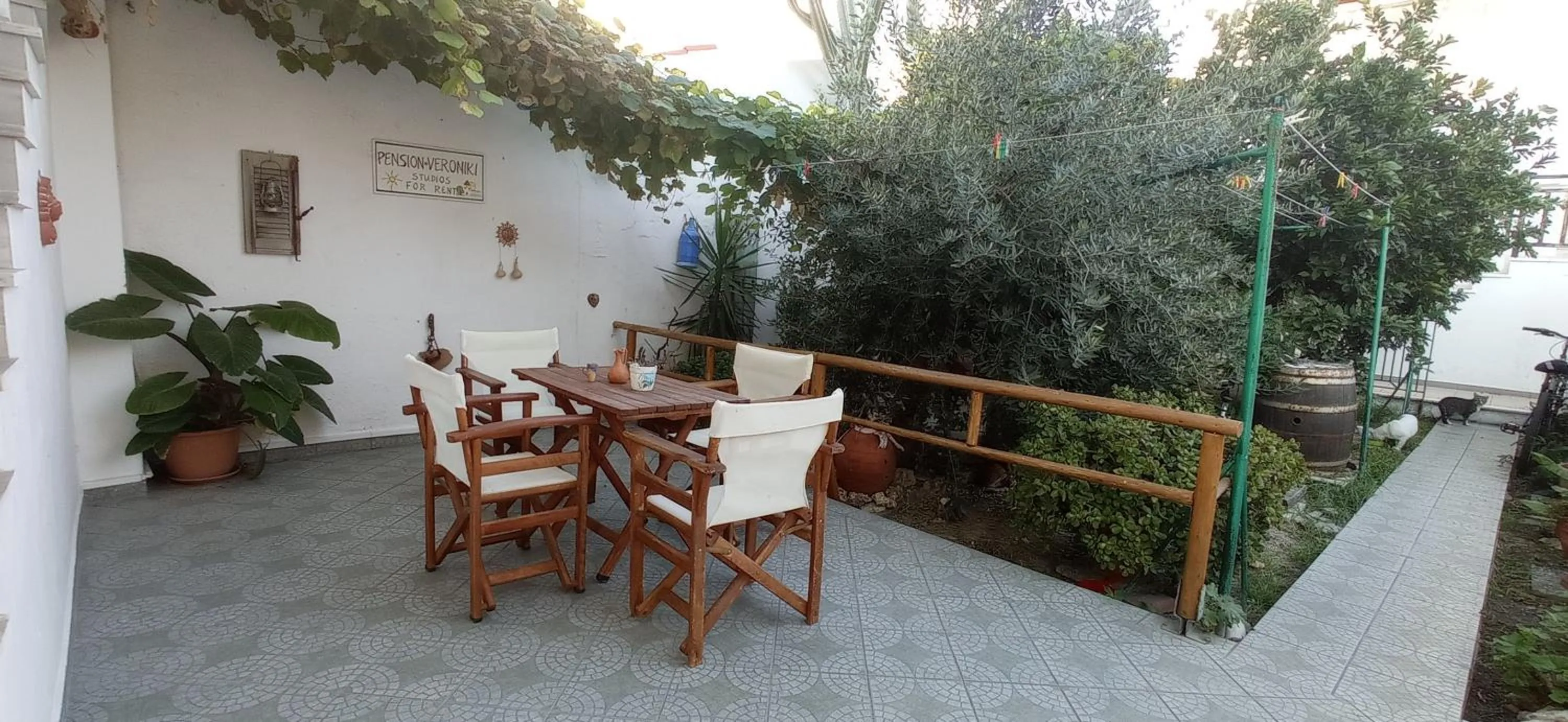 Garden in Veroniki Studios
