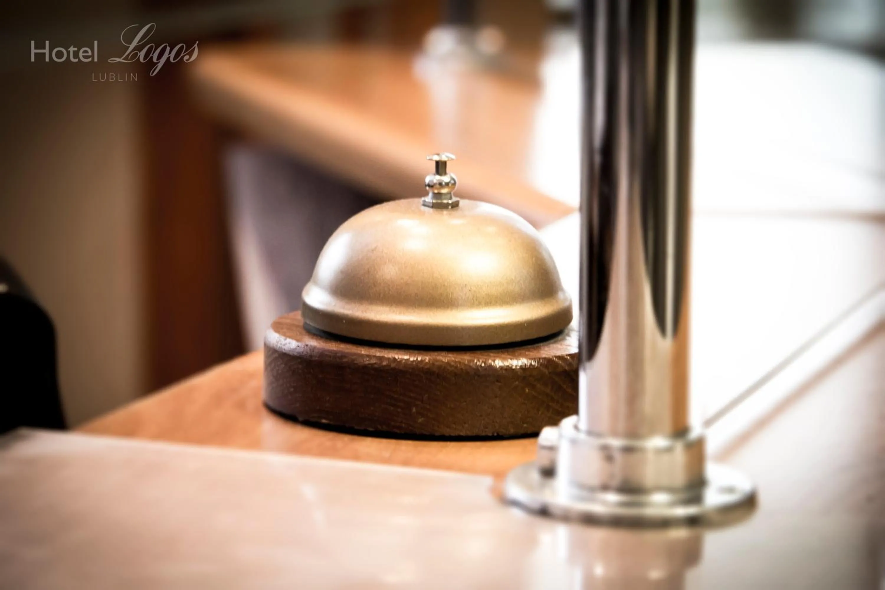 Decorative detail in Hotel Logos