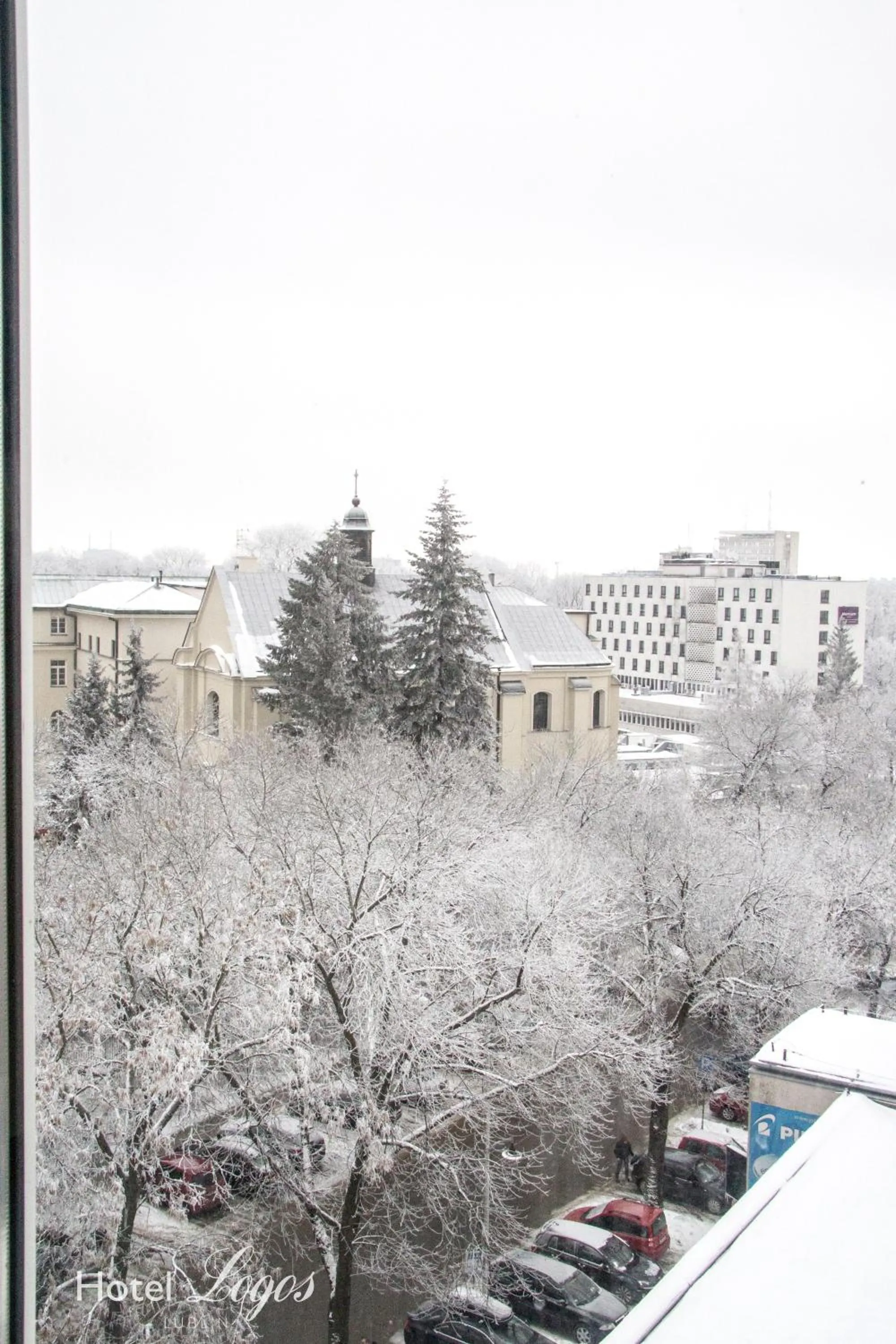 Winter in Hotel Logos