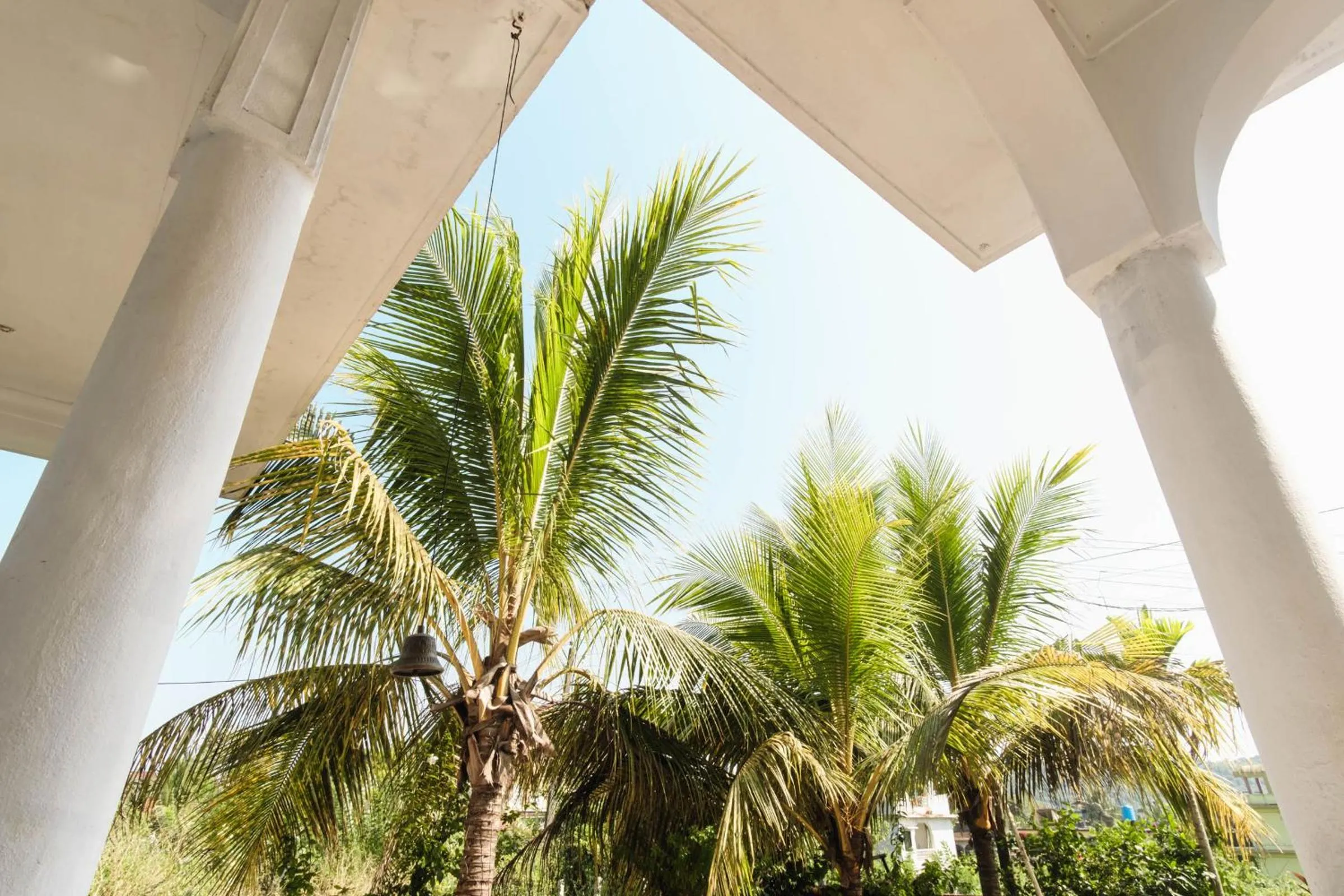 Garden in Tranquilo Arambol