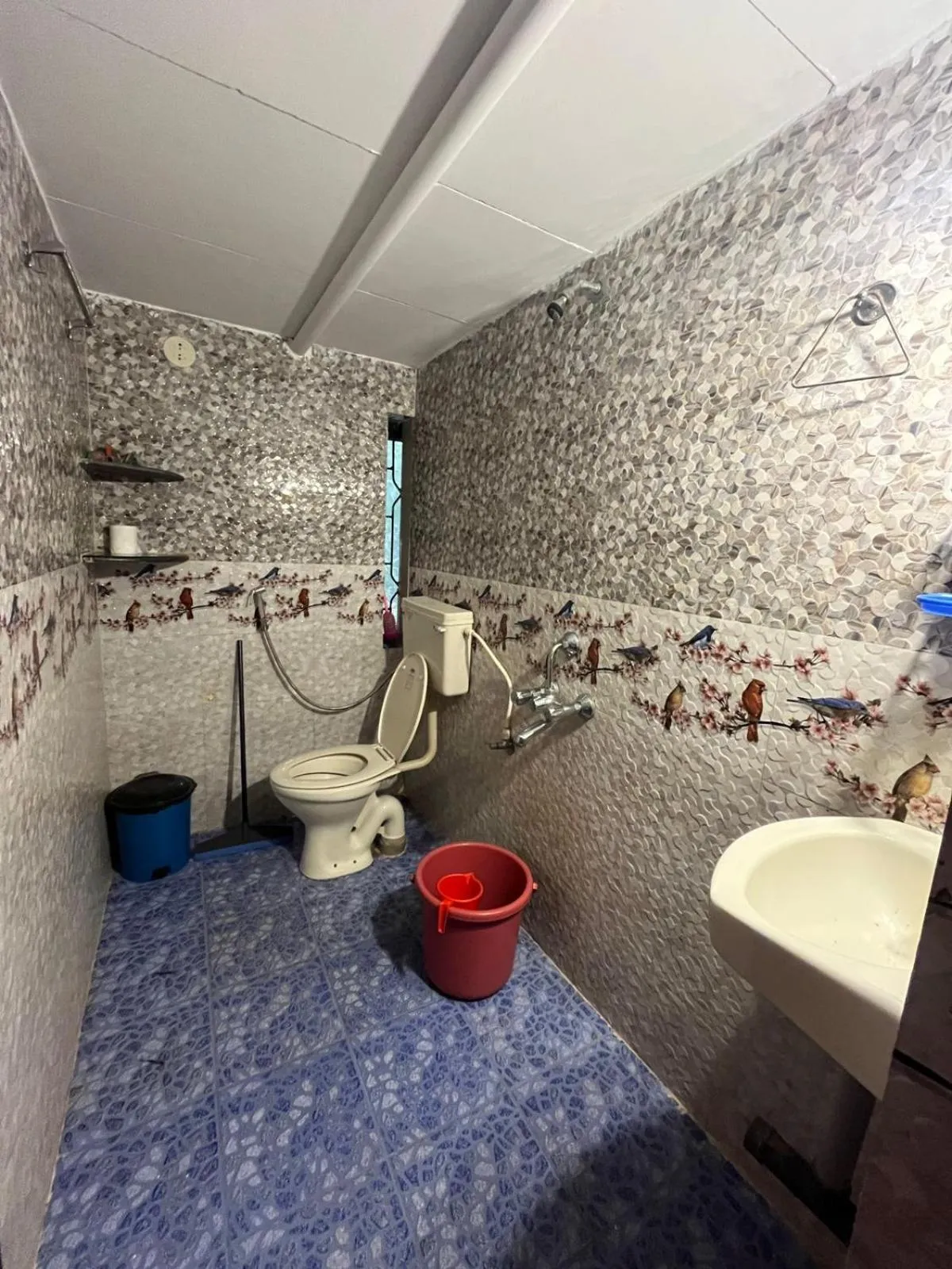 Bathroom in Tranquilo Arambol