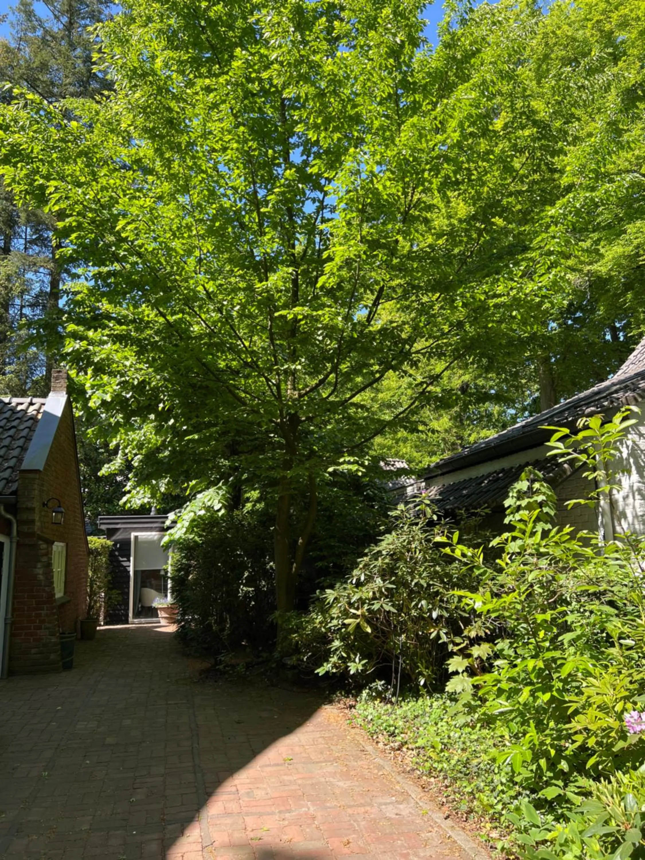 Property building in de Merel