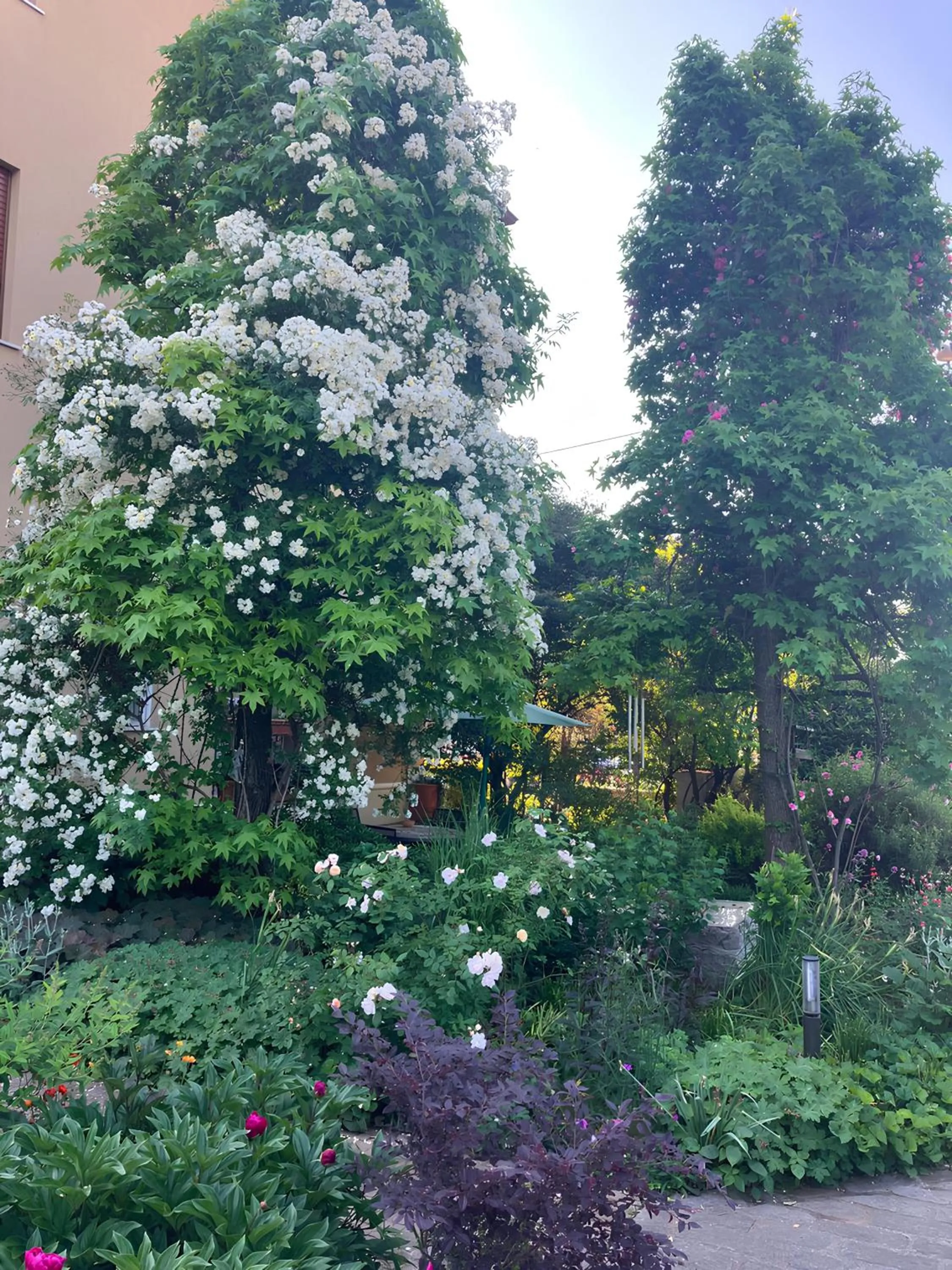 Garden in Casa Stucky