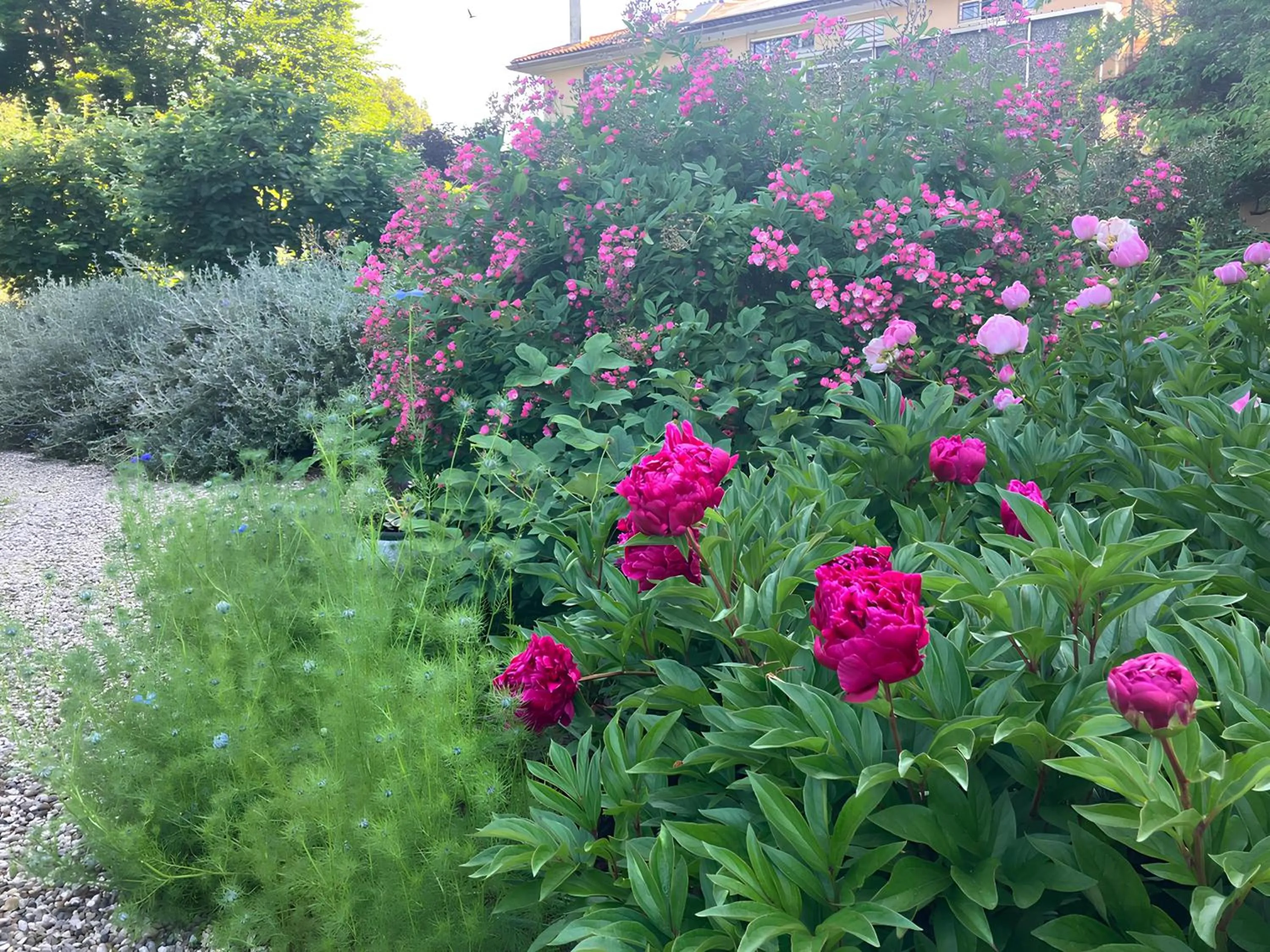 Garden in Casa Stucky