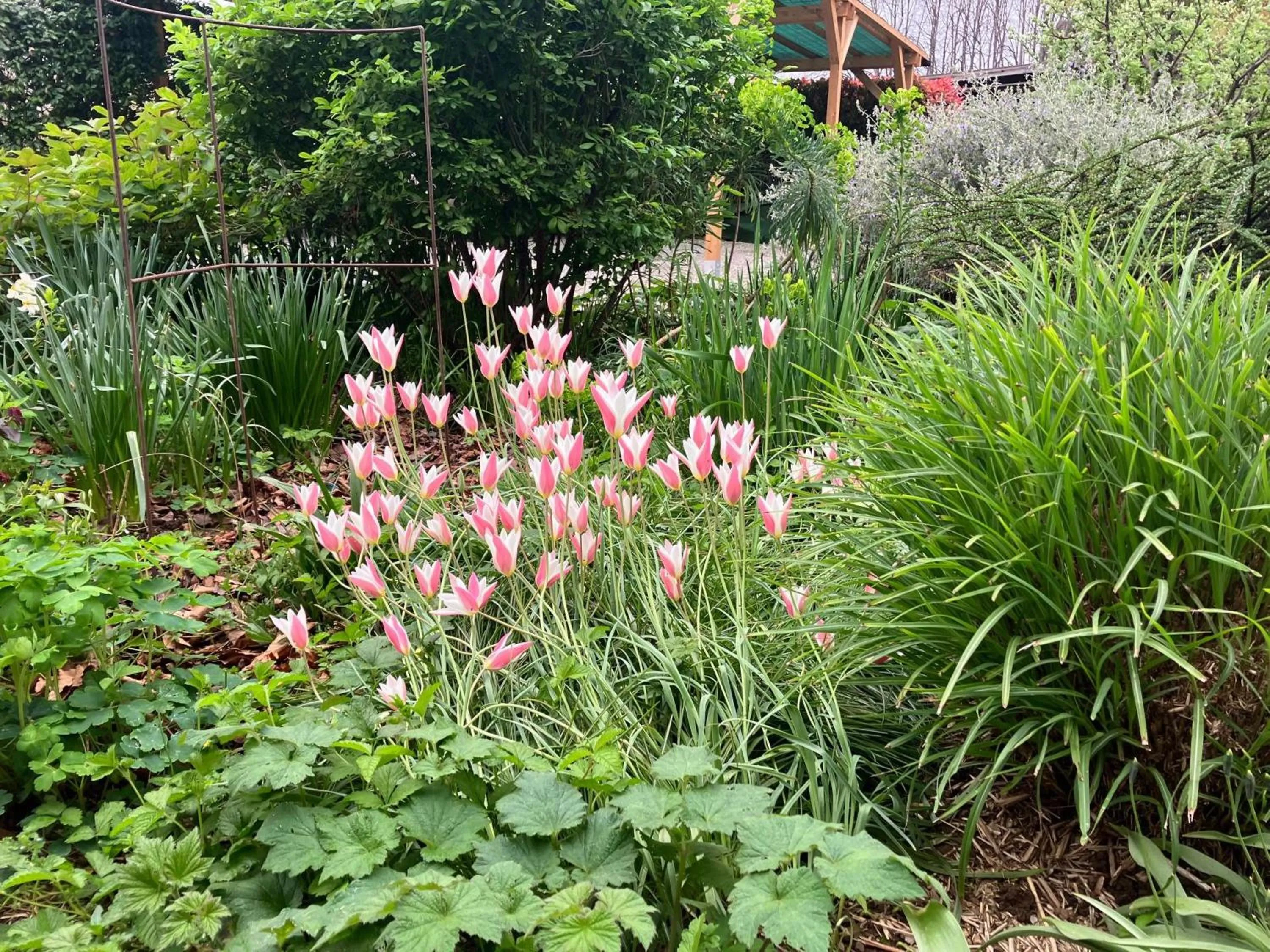 Spring in Casa Stucky