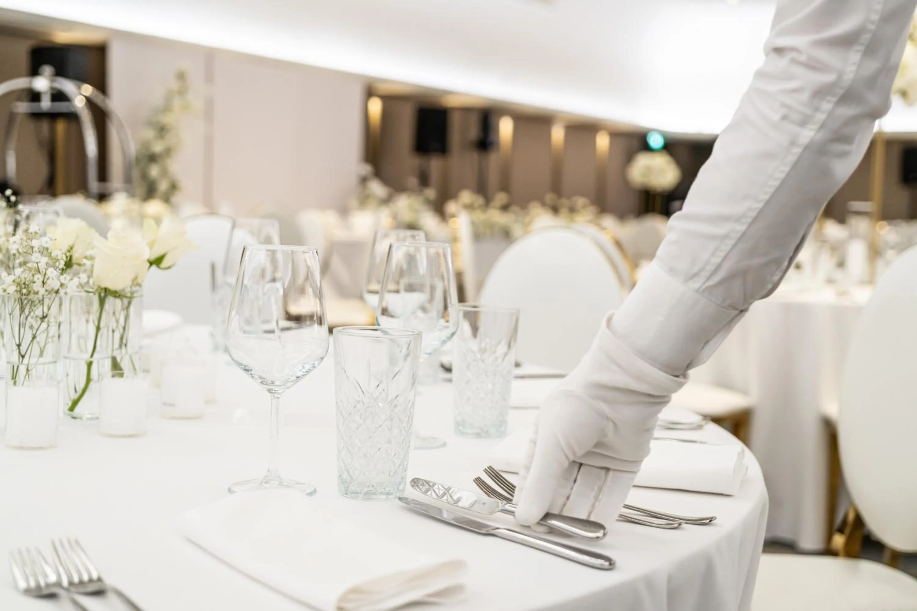 Banquet/Function facilities in Crowne Plaza Belgrade by IHG