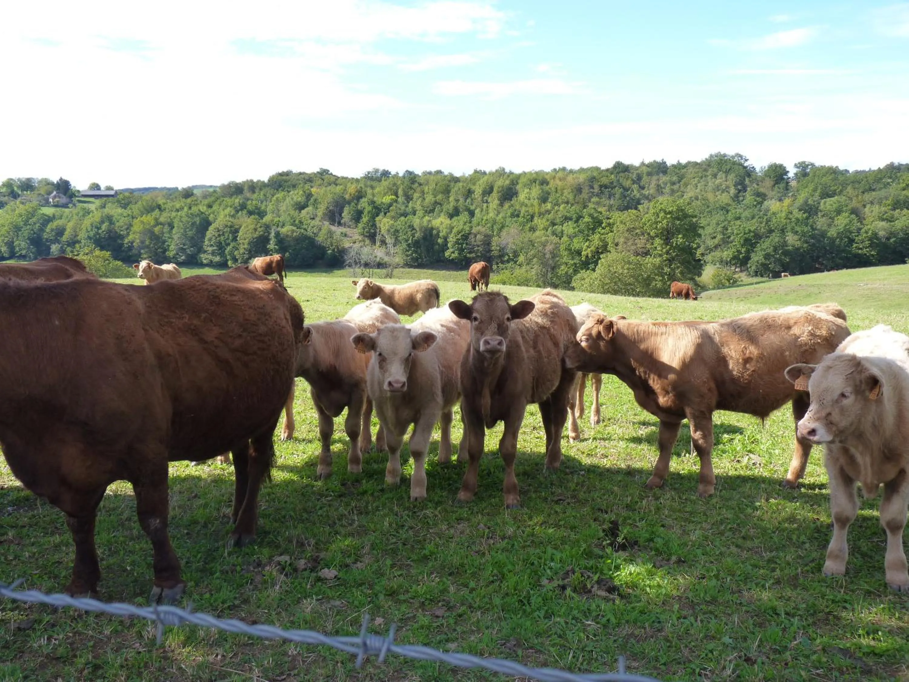 Off site in Chambres d'hôtes - Domaine de la Grangeotte