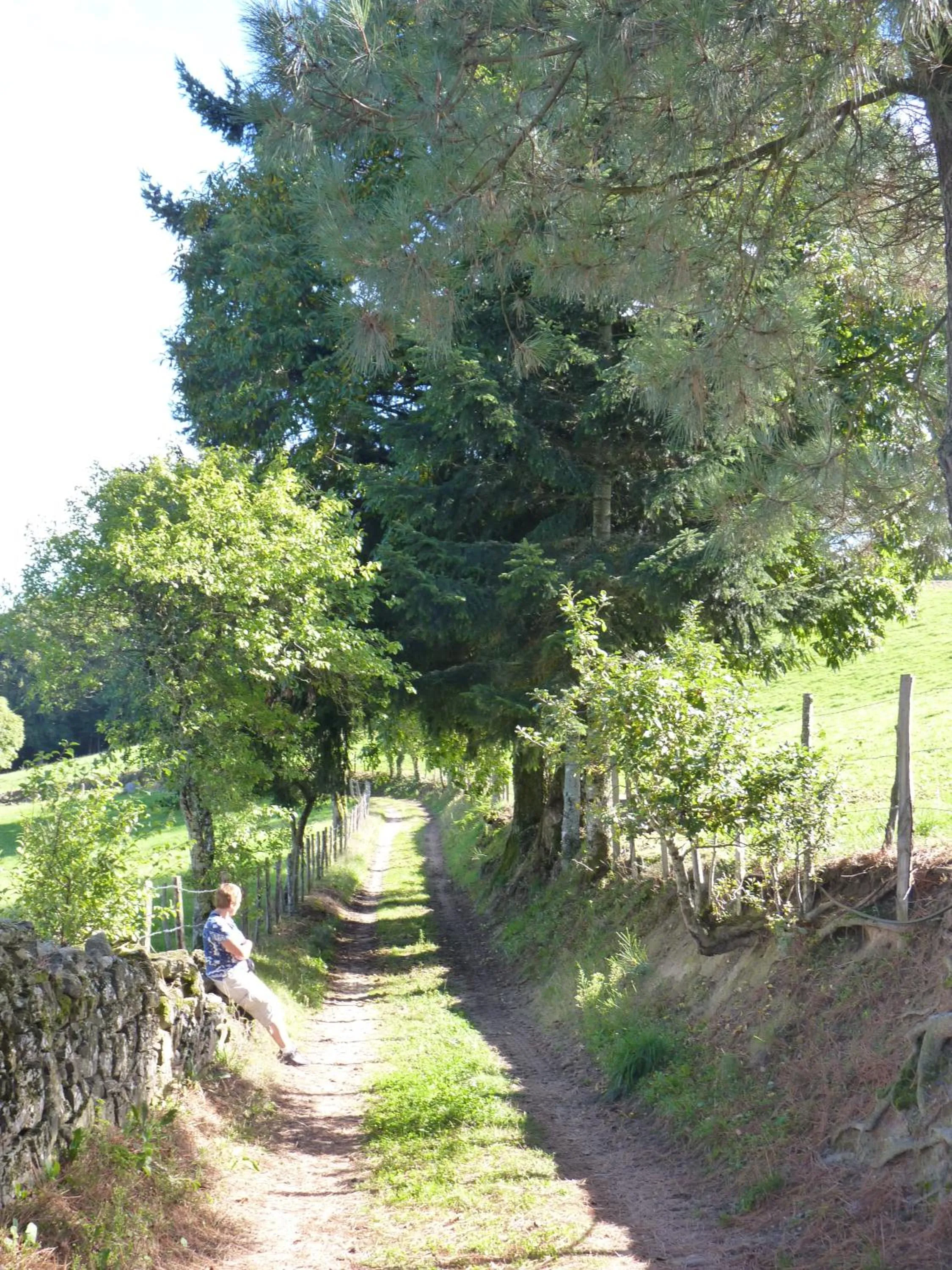 Off site in Chambres d'hôtes - Domaine de la Grangeotte