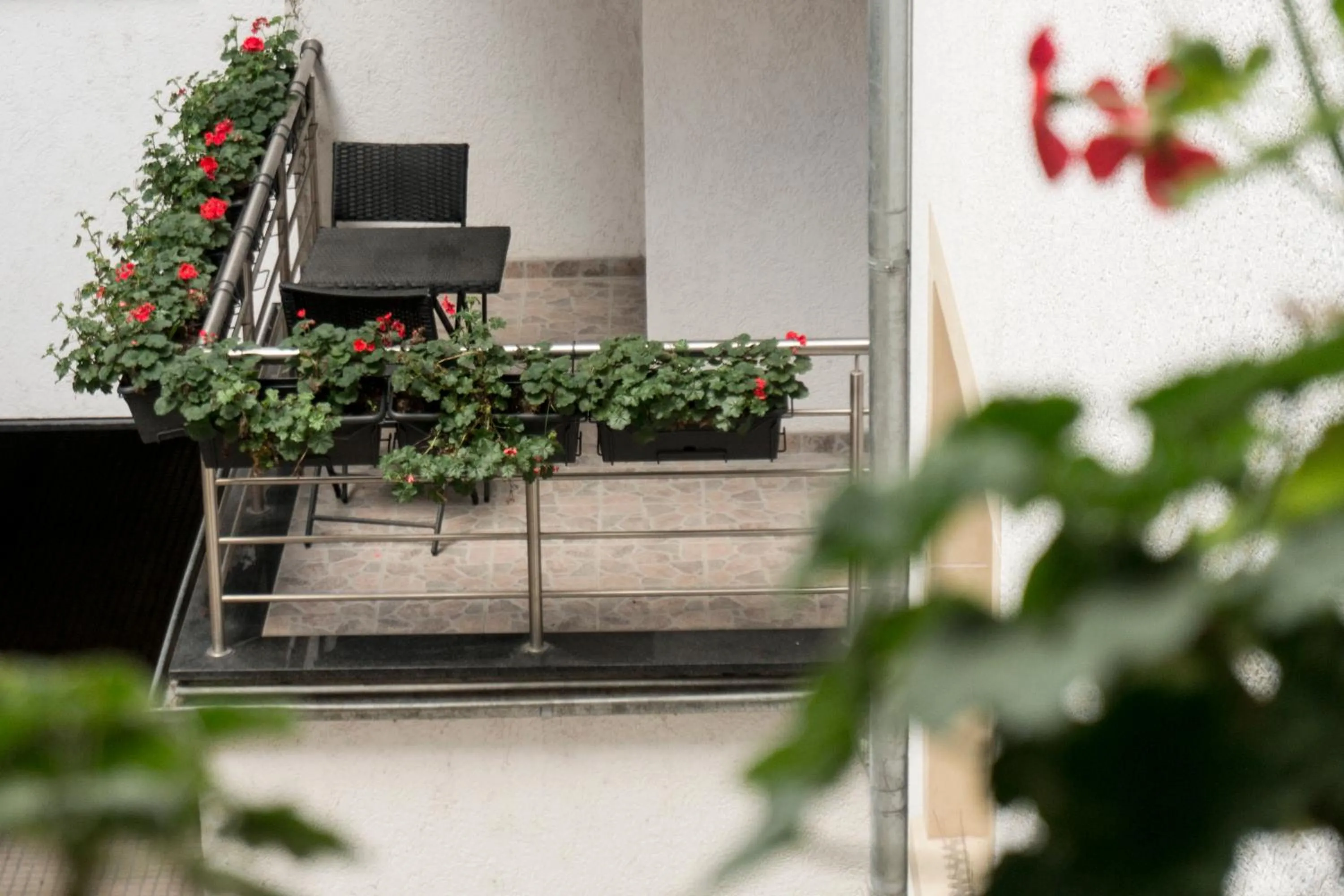 Balcony/Terrace in The Queen Luxury Apartments - Villa Cortina