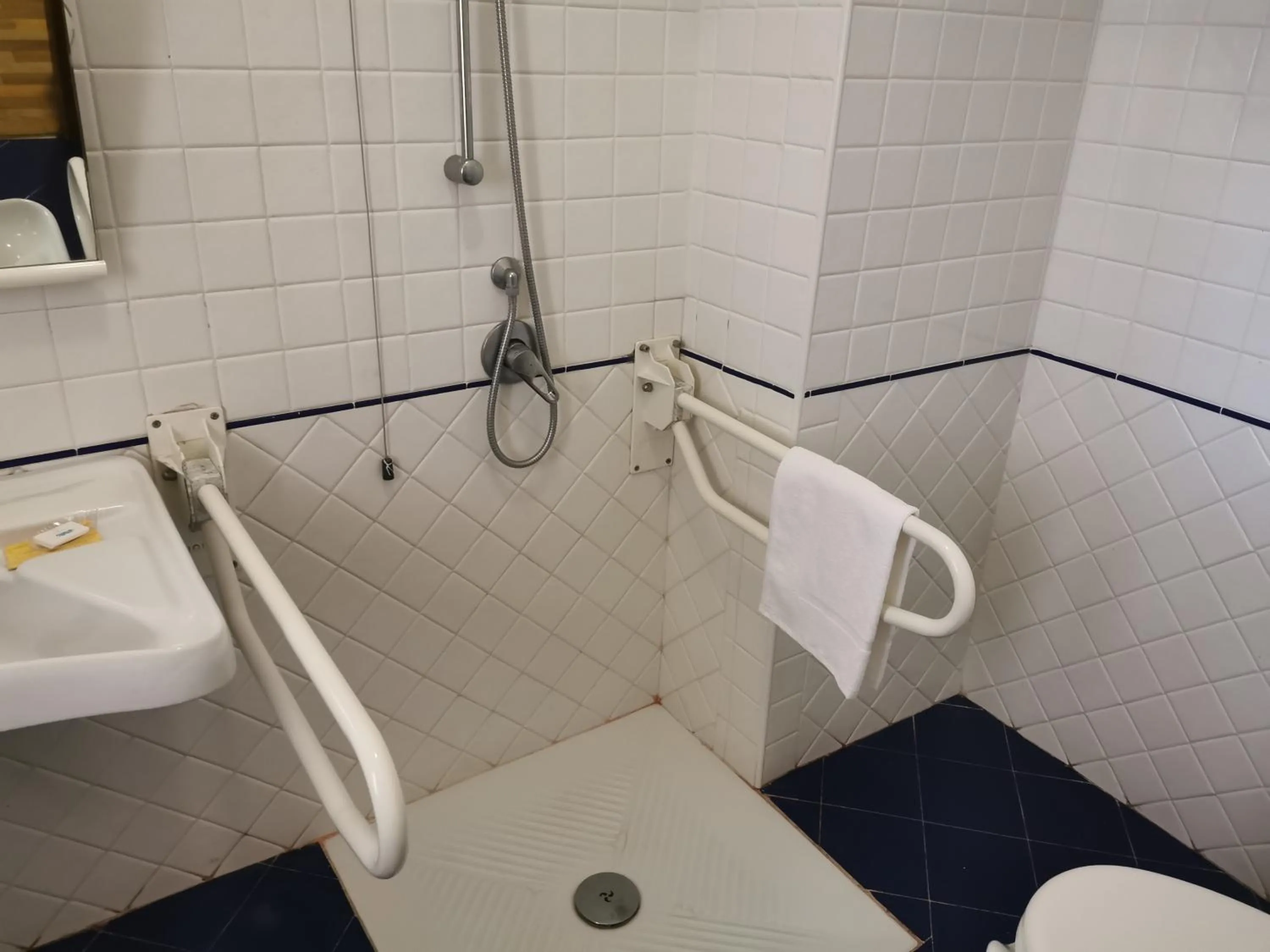 Facility for disabled guests in Hotel Nazionale