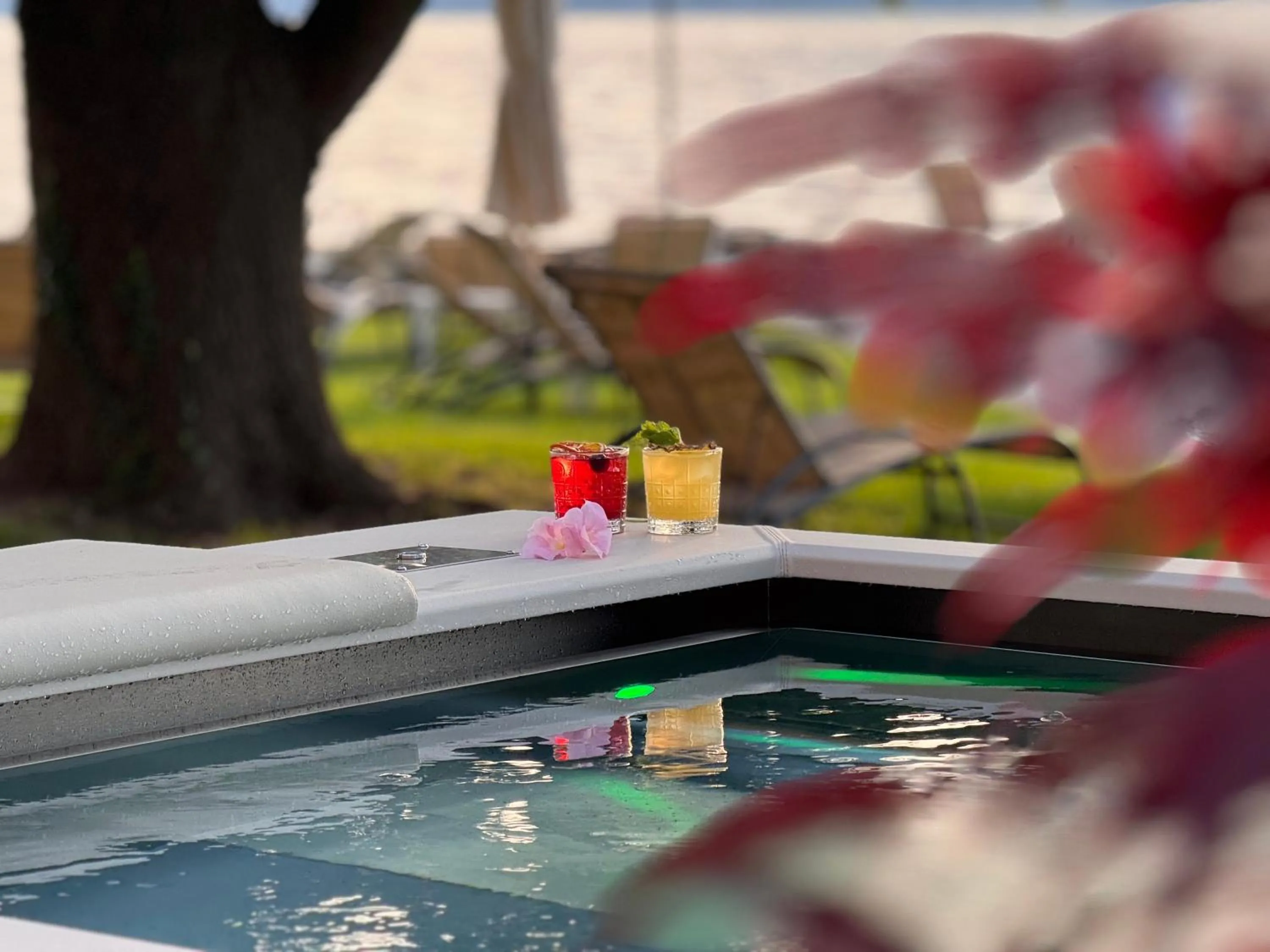 Garden in Hotel Du Lac - Relax Attitude Hotel