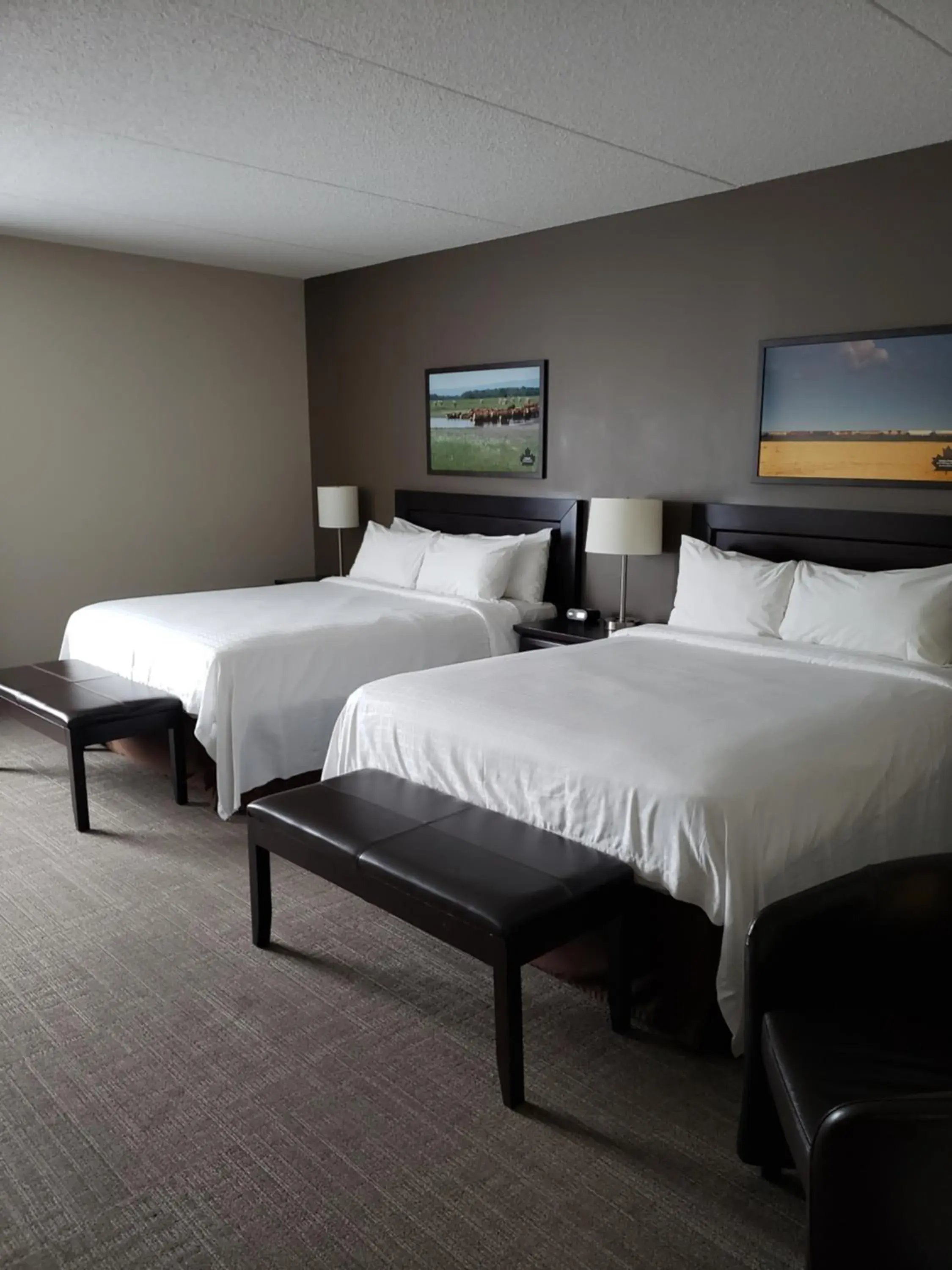 Deluxe Queen Room in Canad Inns Health Sciences Centre Deluxe Queen Room in Canad Inns Health Sciences Centre