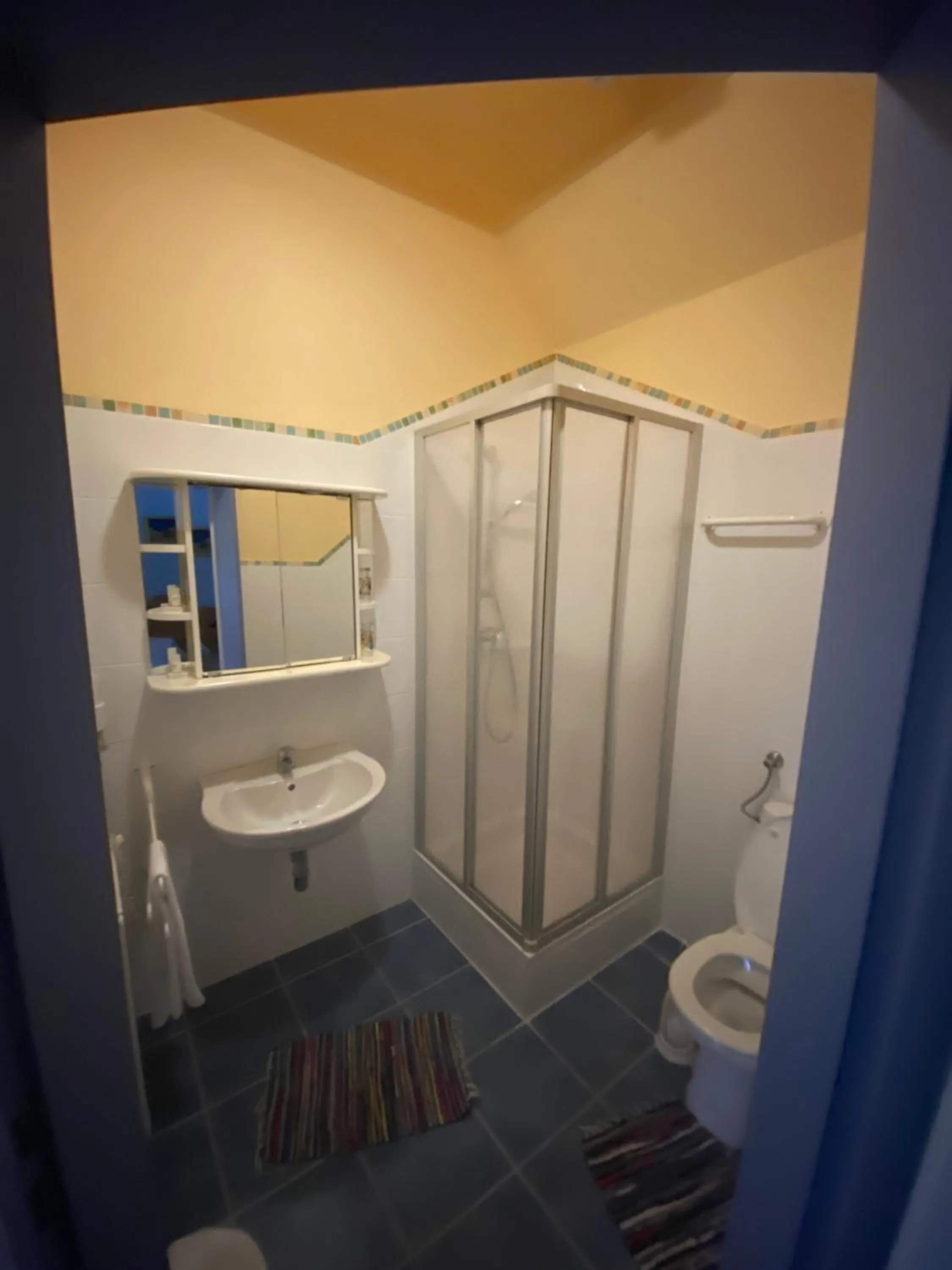 Toilet in Waldrestaurant VIDA
