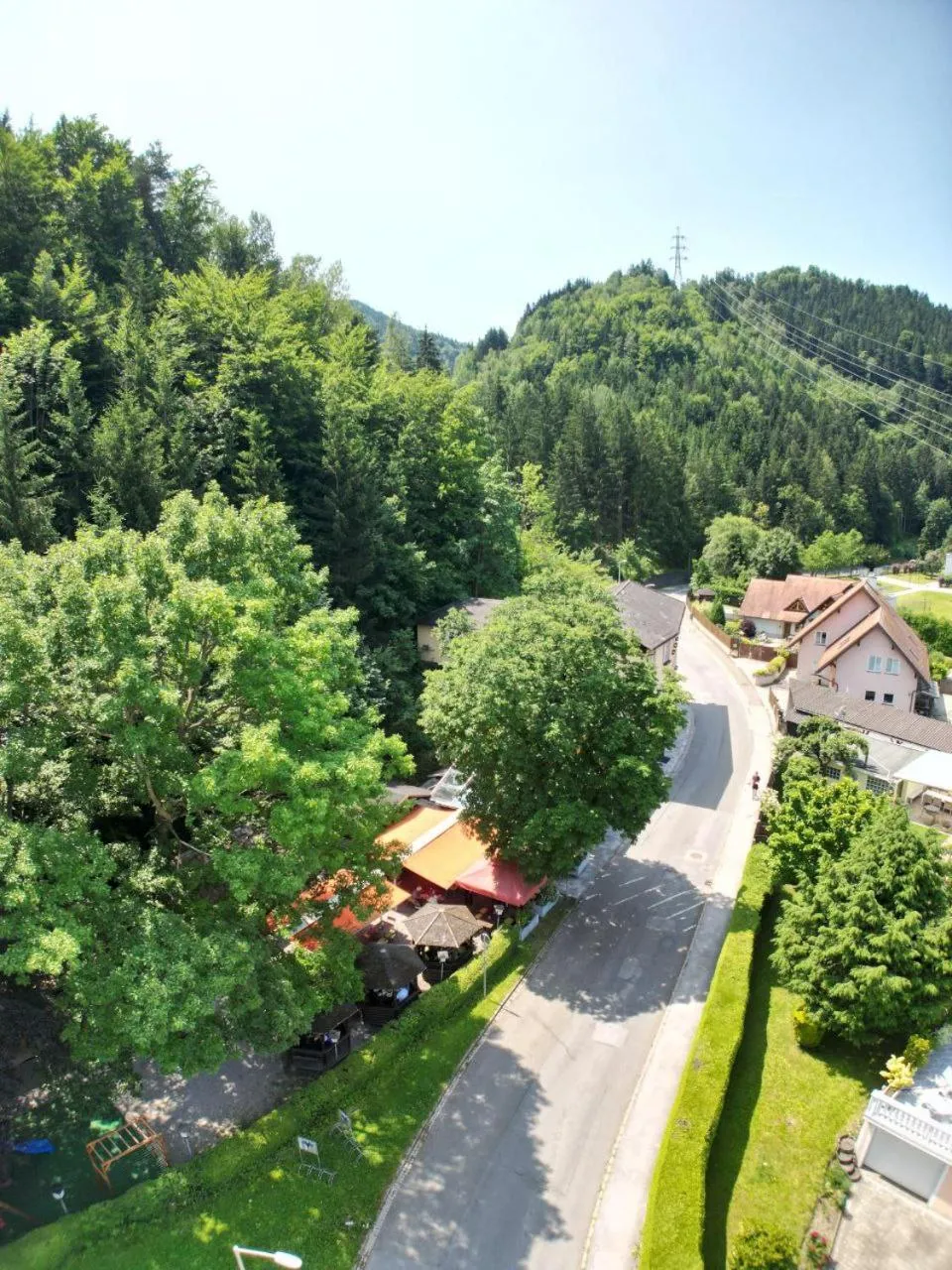 Garden view in Waldrestaurant VIDA
