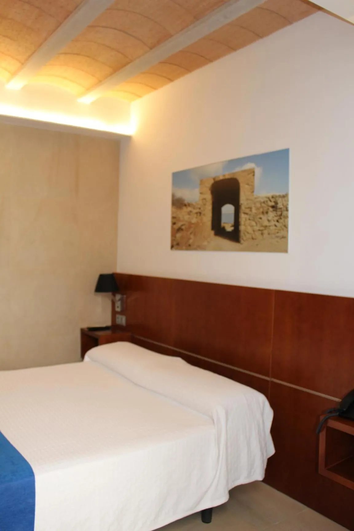 Photo of the whole room in HOTEL ISLA PLANA