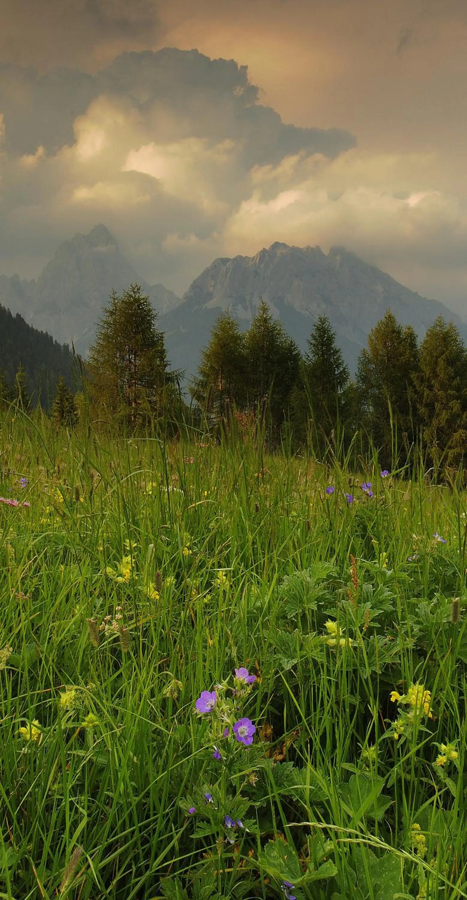 Day in Monaco Sport Hotel