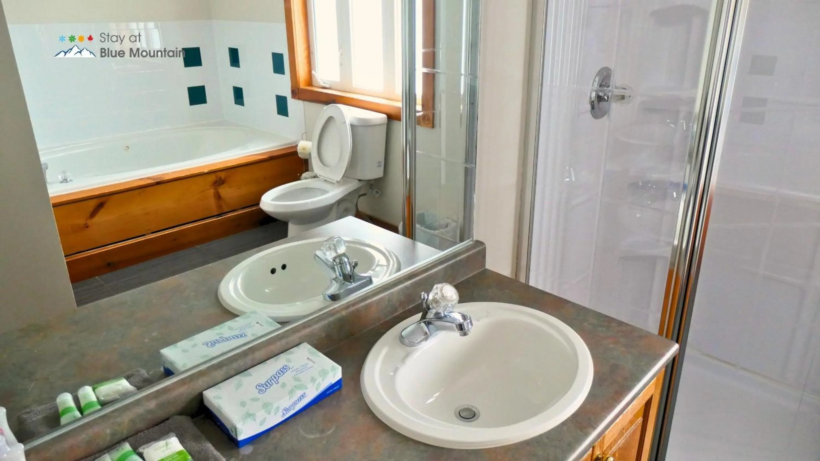 Bathroom in Summit Ridge 1