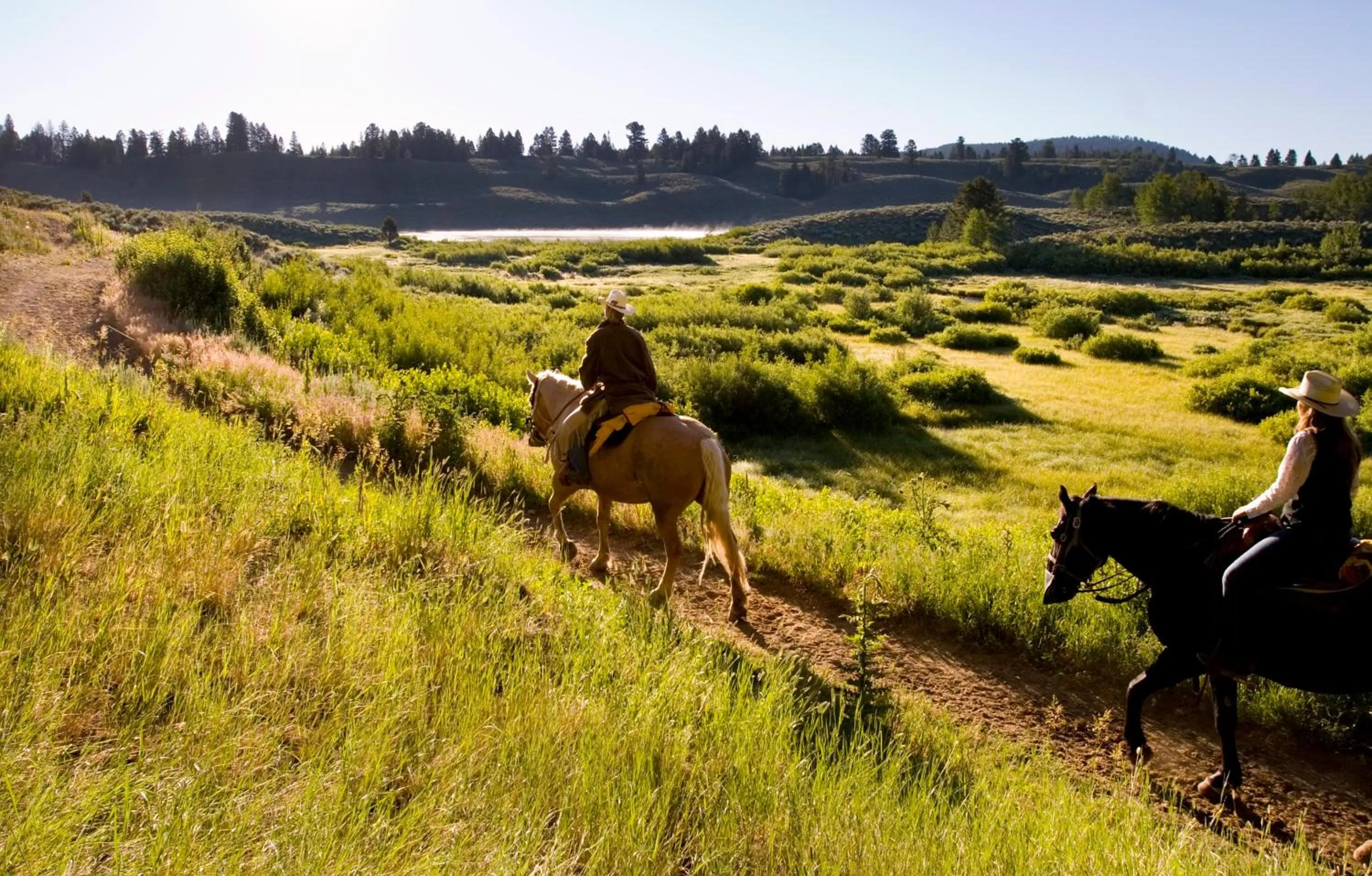 Horse-riding in Jackson Lake Lodge
