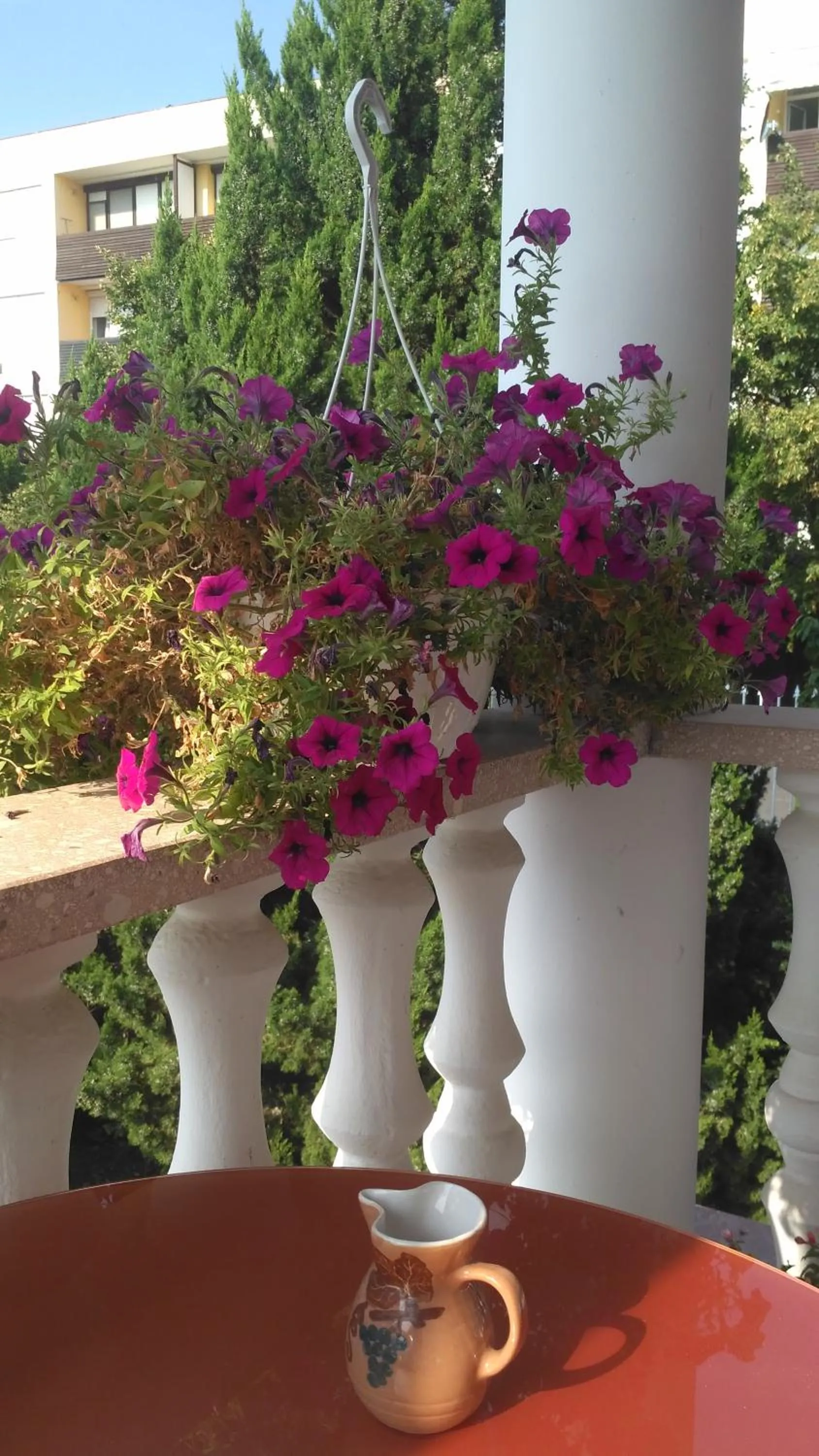 Garden in Valloris Apartments