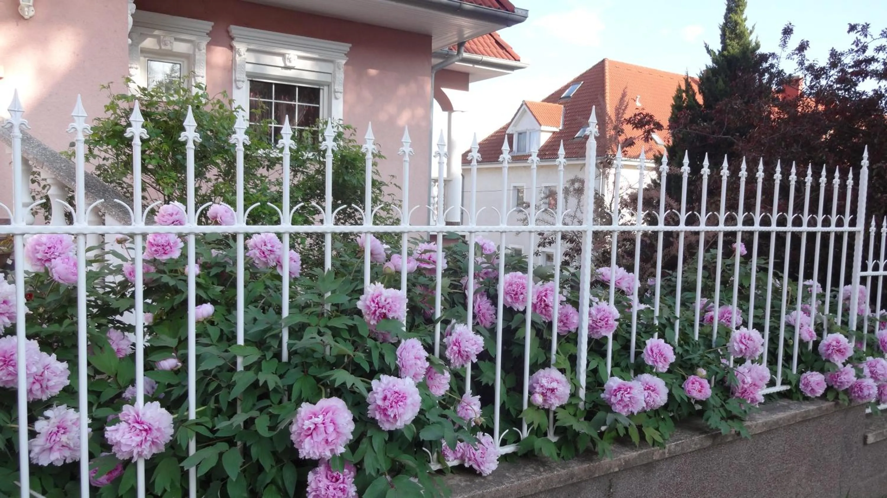 Spring in Valloris Apartments