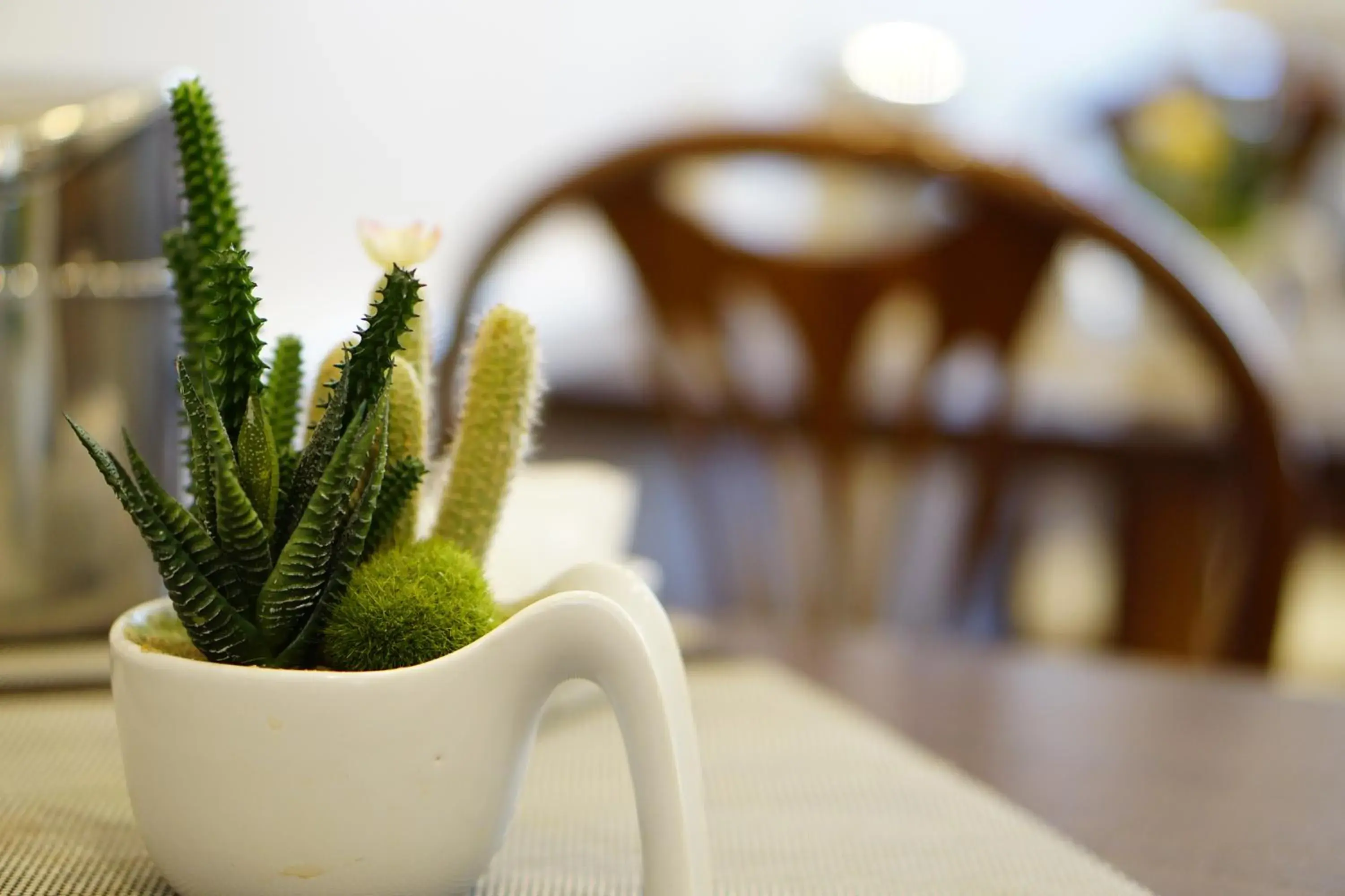 Lounge or bar in Hotel Martini Lounge or bar in Hotel Martini