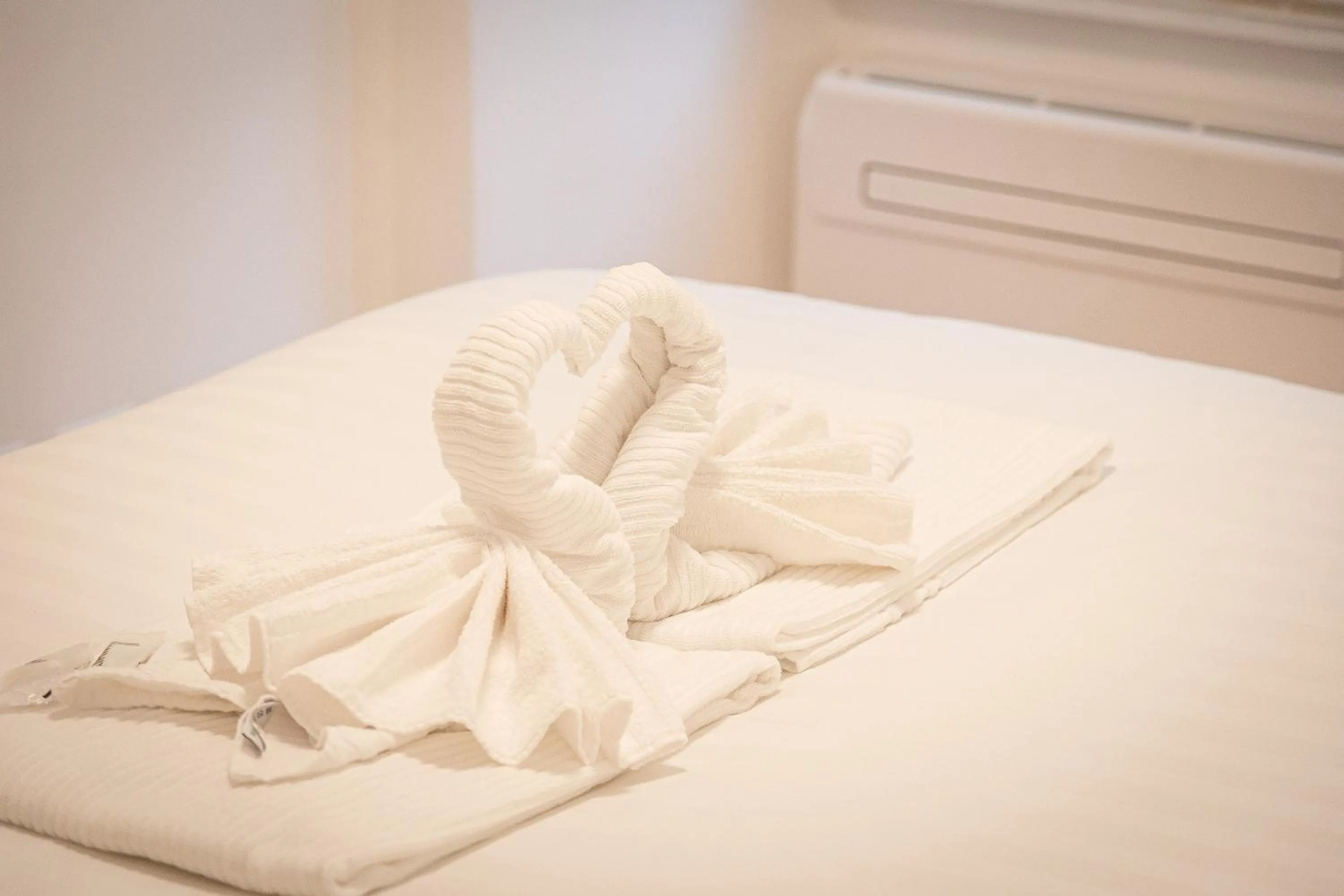 Province apartment-Rental in Rome