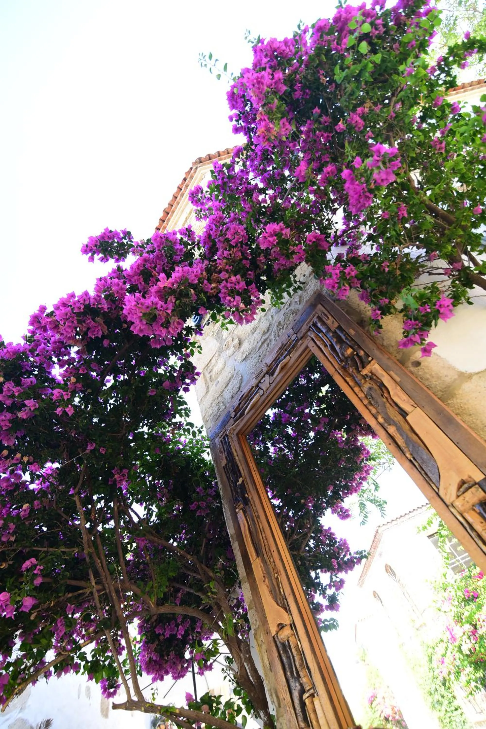 Off site in YUKARI SOKAK VİP BUTİK OTEL