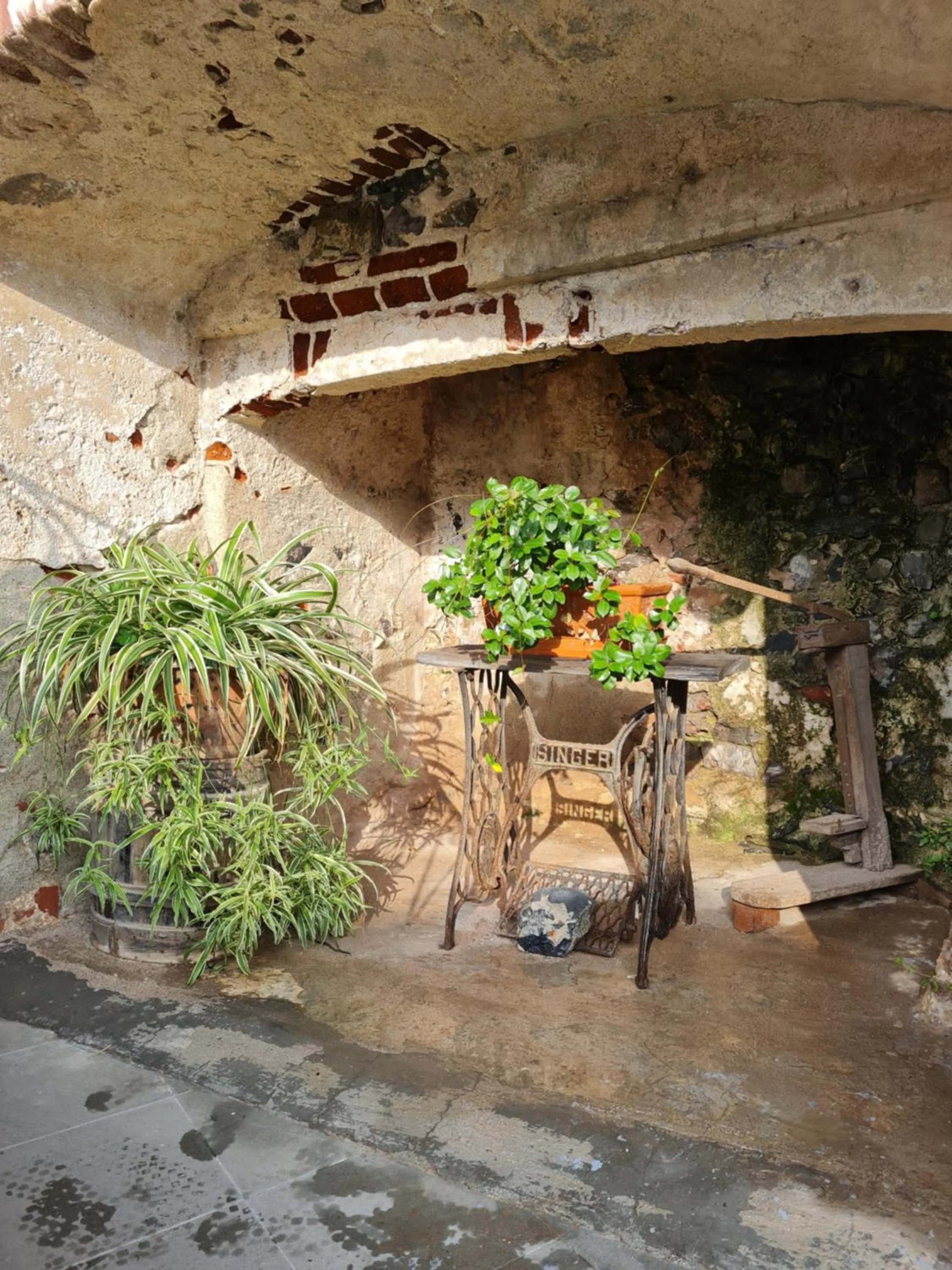 Spring in Albergo Genio