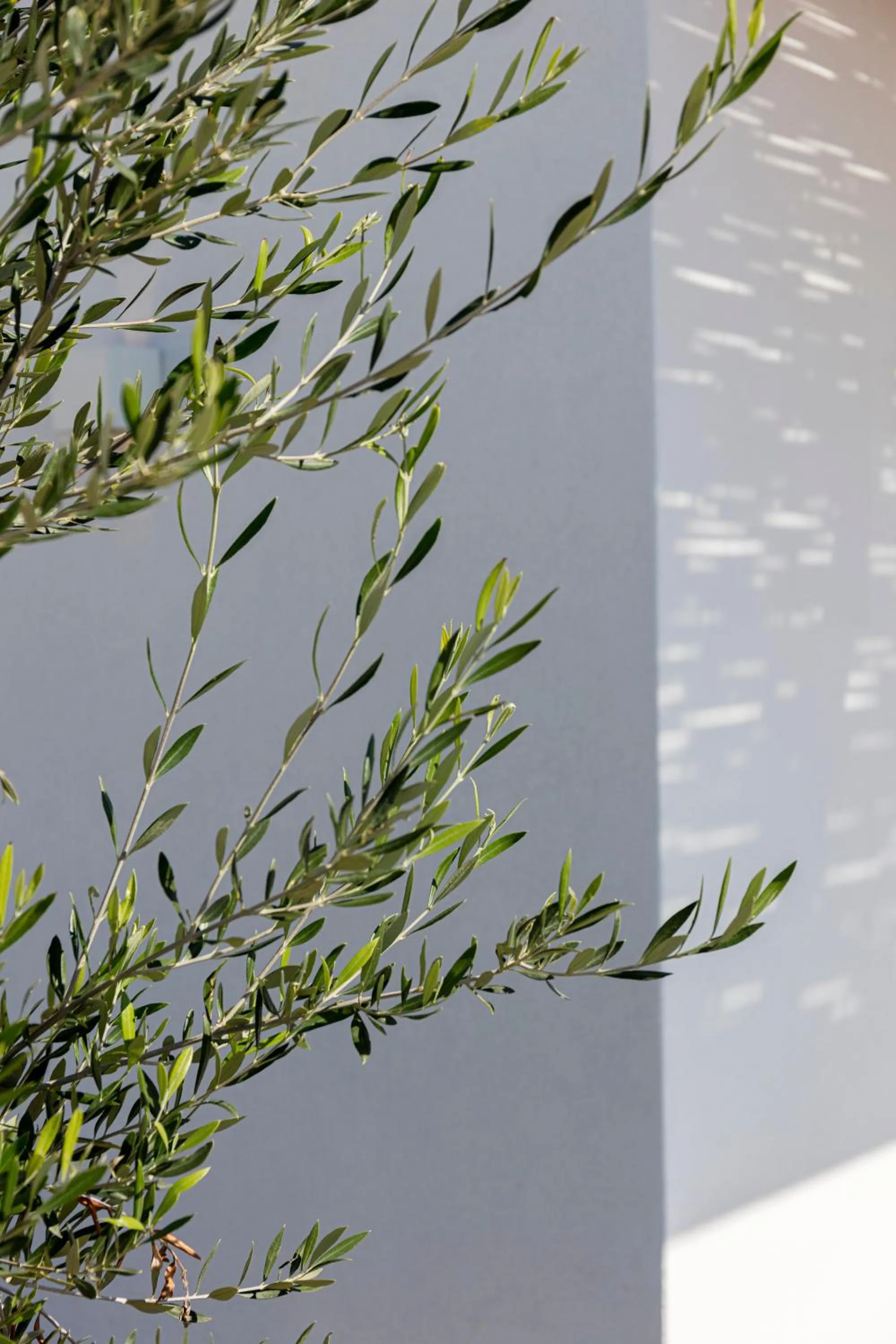 Property building in Phos Milos