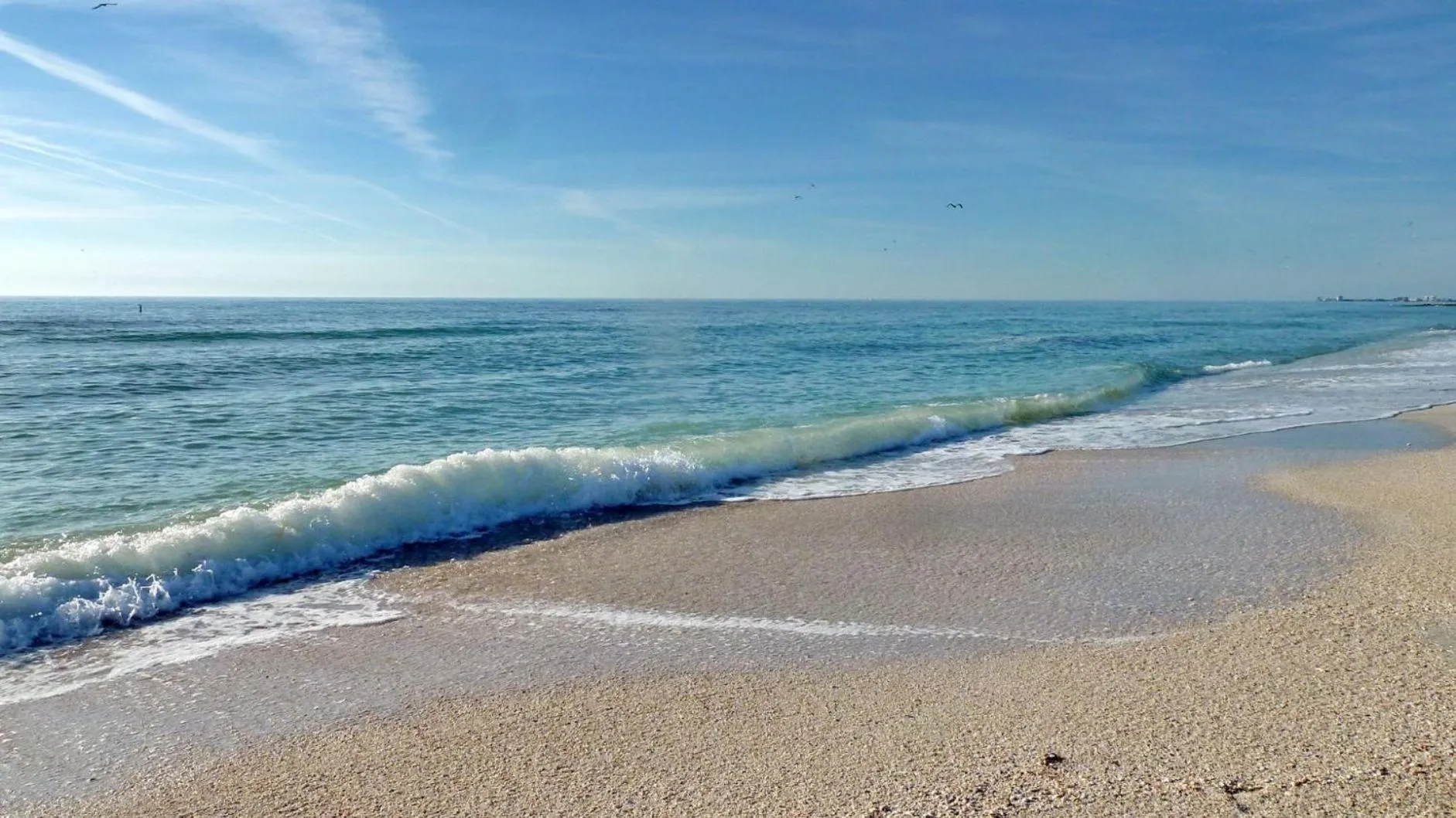 Harbourside 7718- Premier