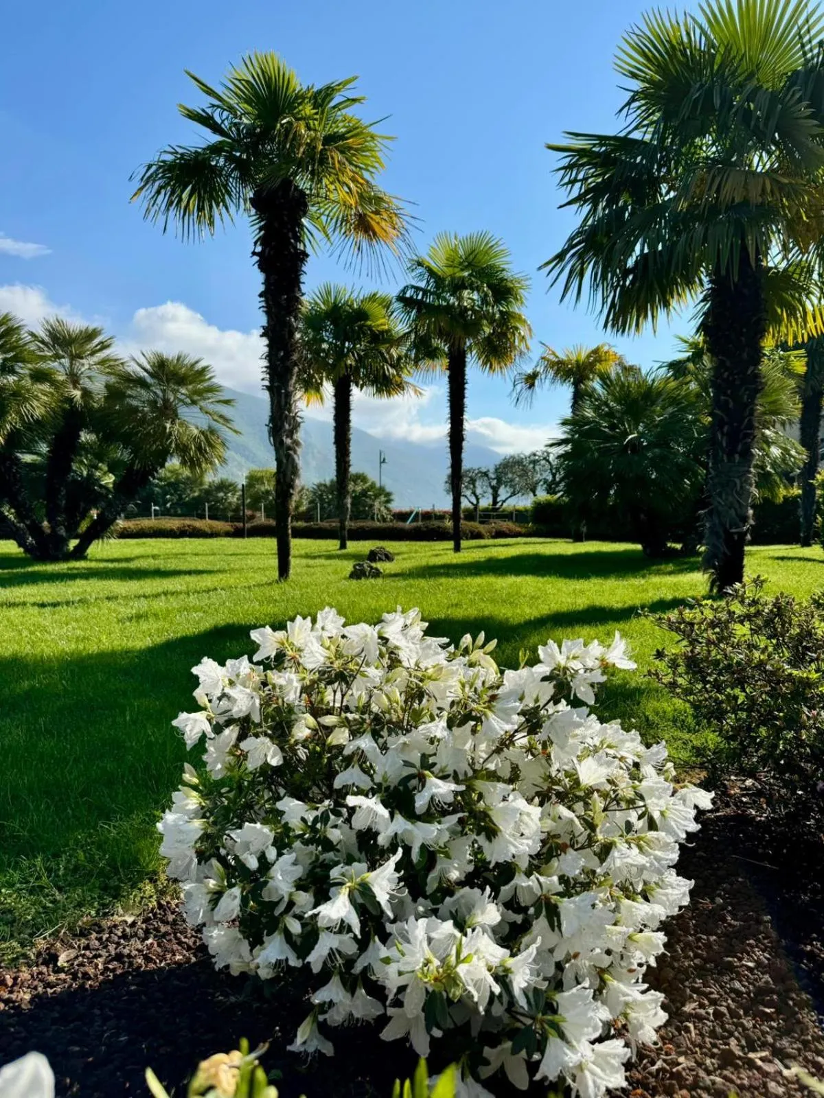 Ulivi Hotel & Residence