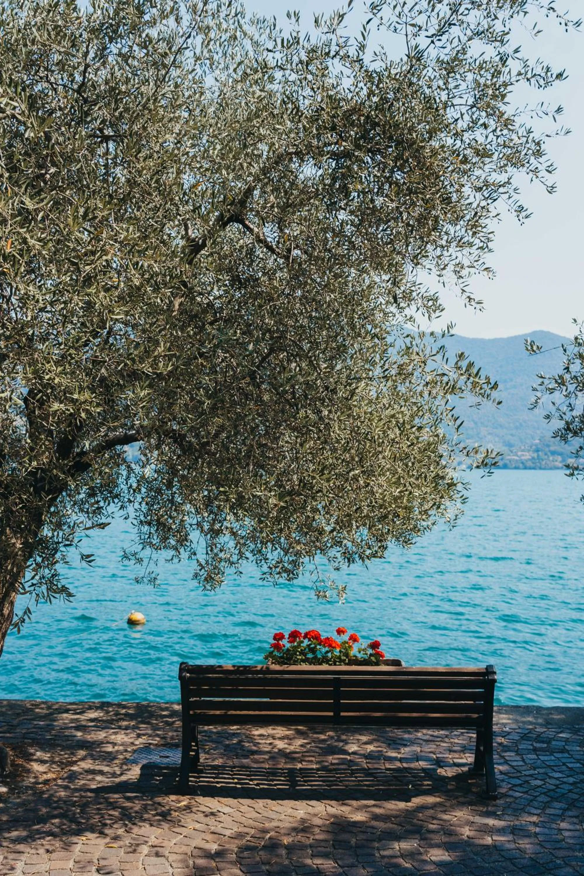 Natural landscape in Sensole locanda contemporanea