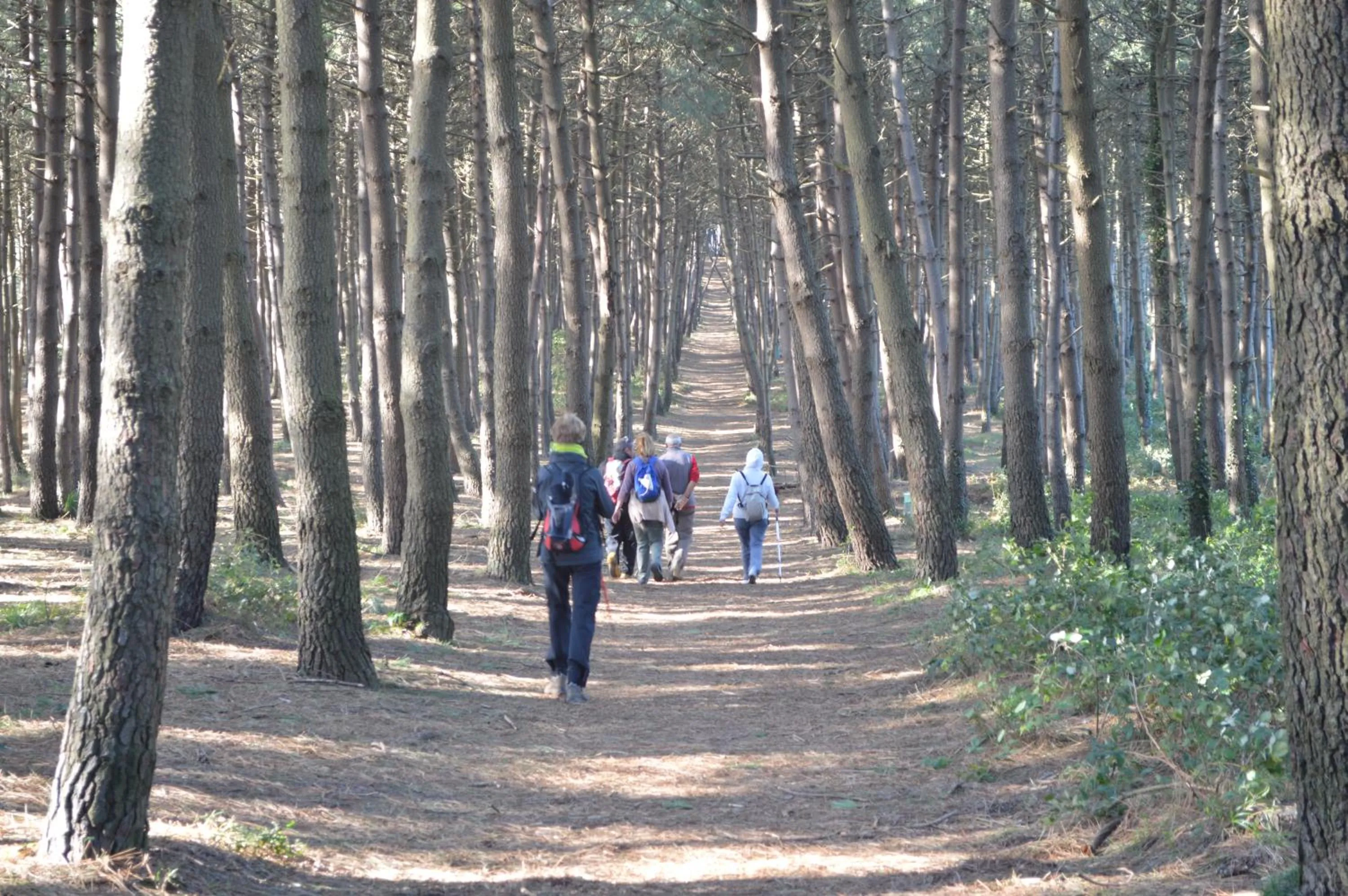 Hiking in Hotel L'Antico Convitto