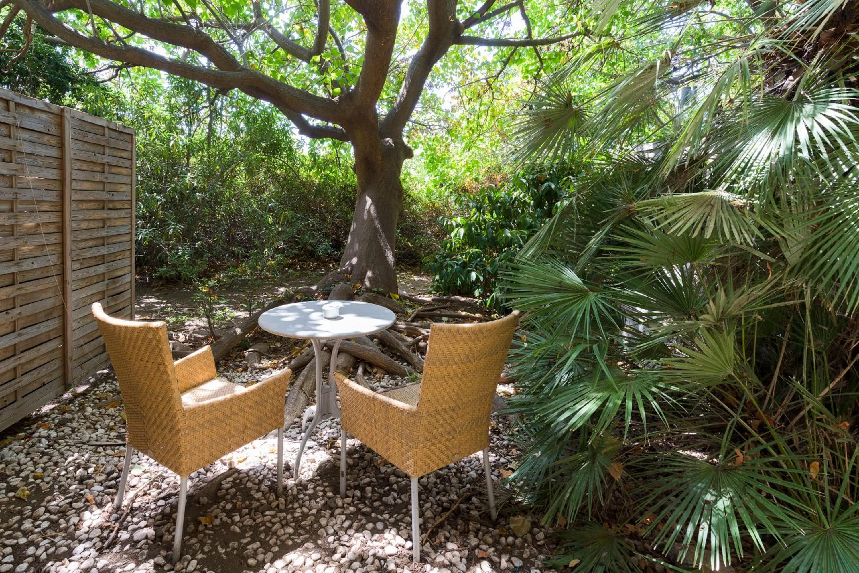 Balcony/Terrace in Romano Palace Luxury Hotel