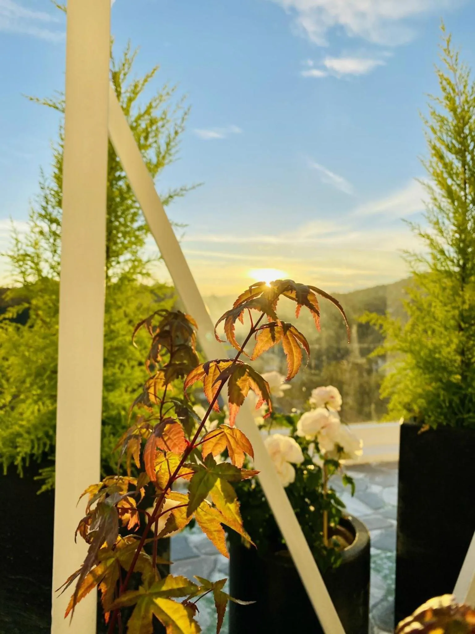 Sunrise in SHIN VILLAGE HOTEL