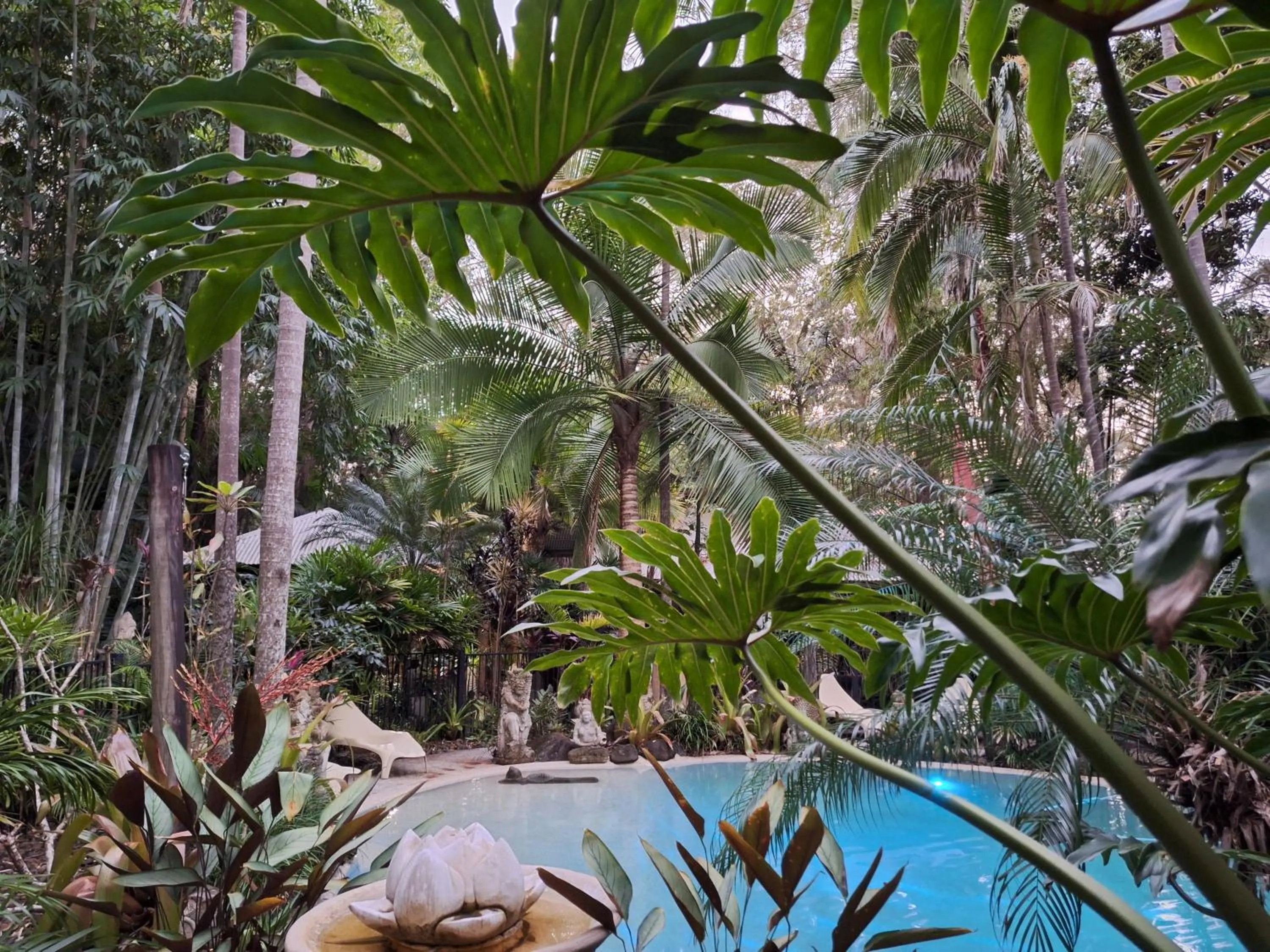 Swimming pool in Alaya Ascend