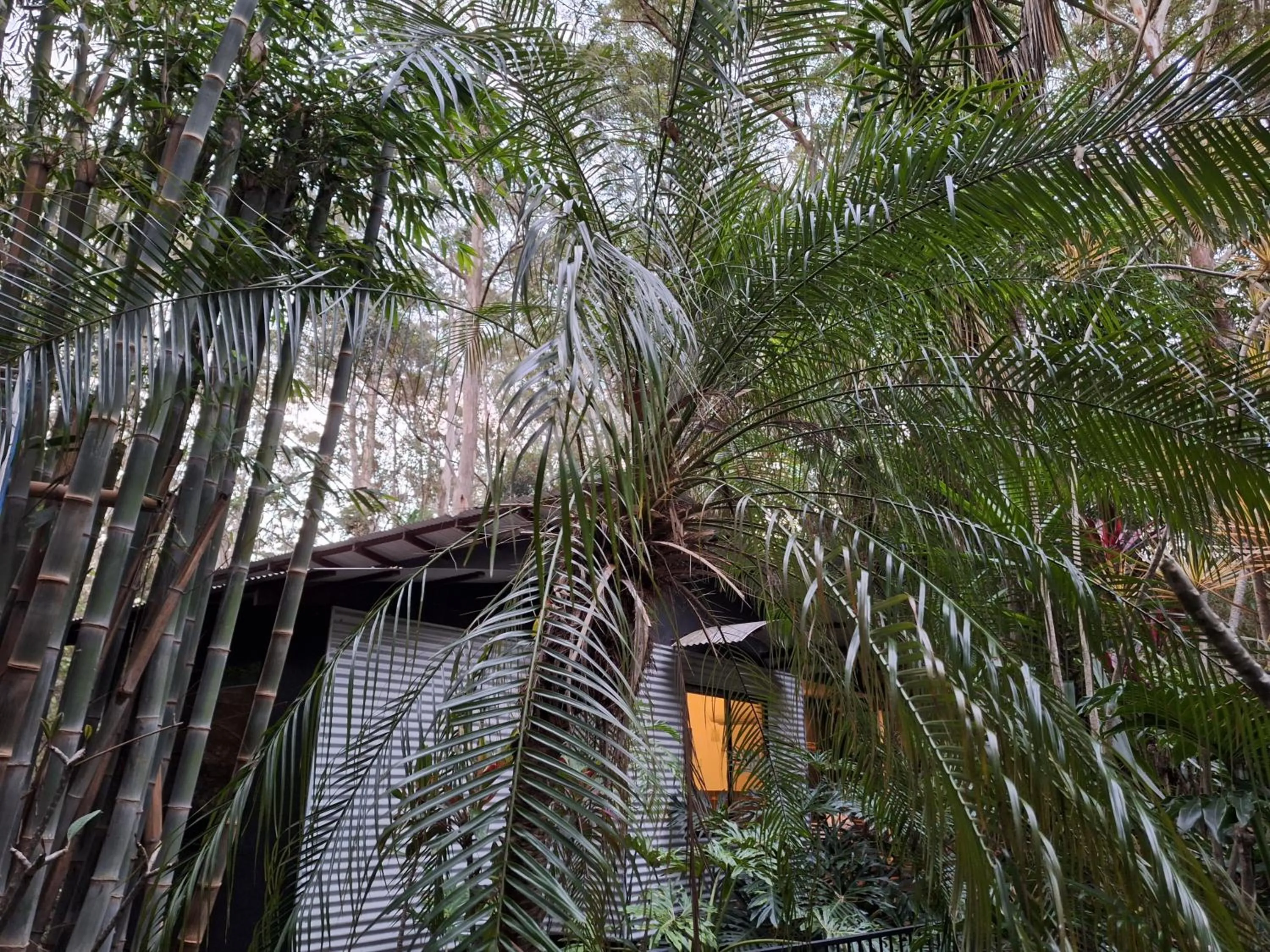 Garden in Alaya Ascend