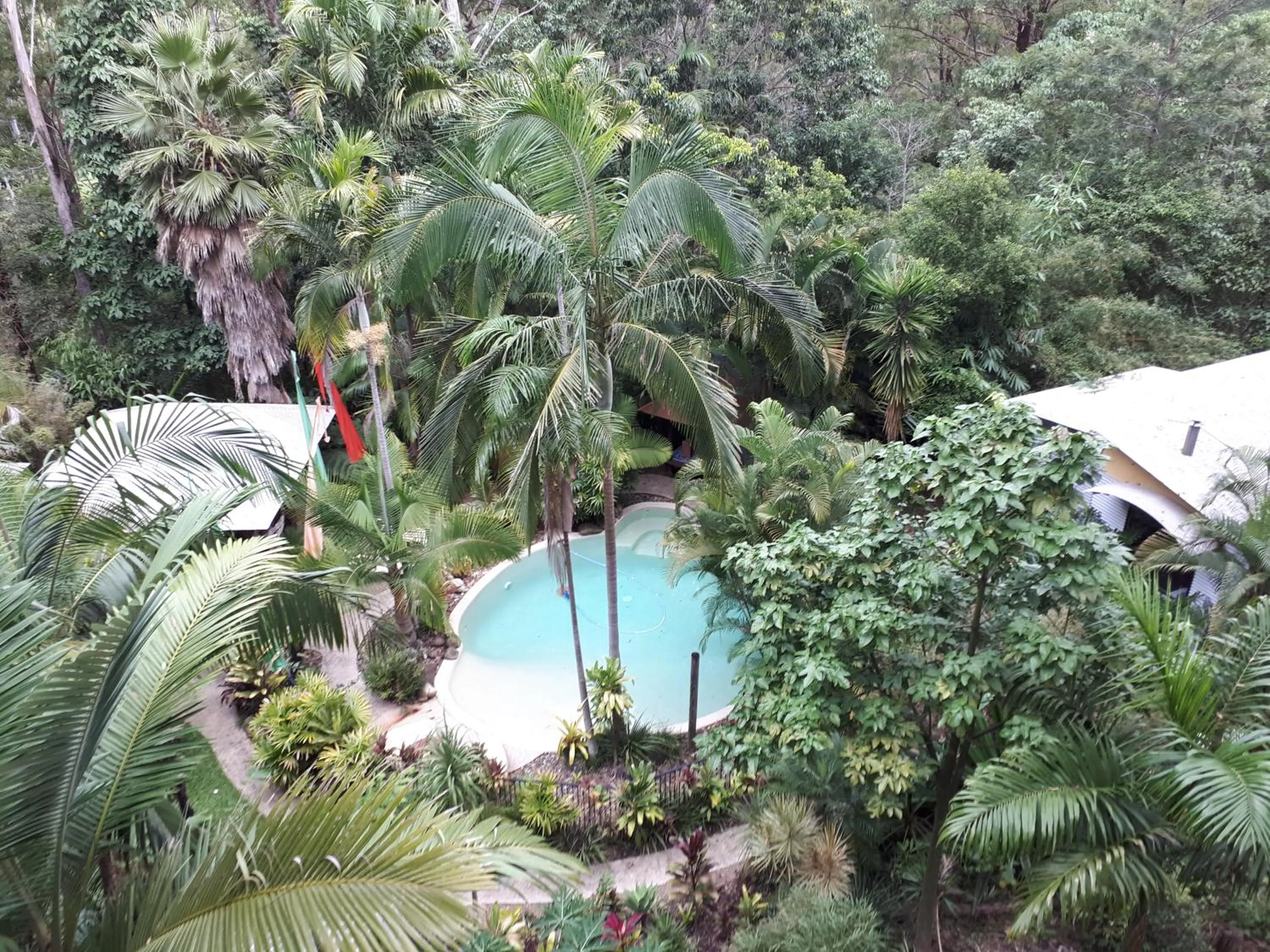 Pool view in Alaya Ascend