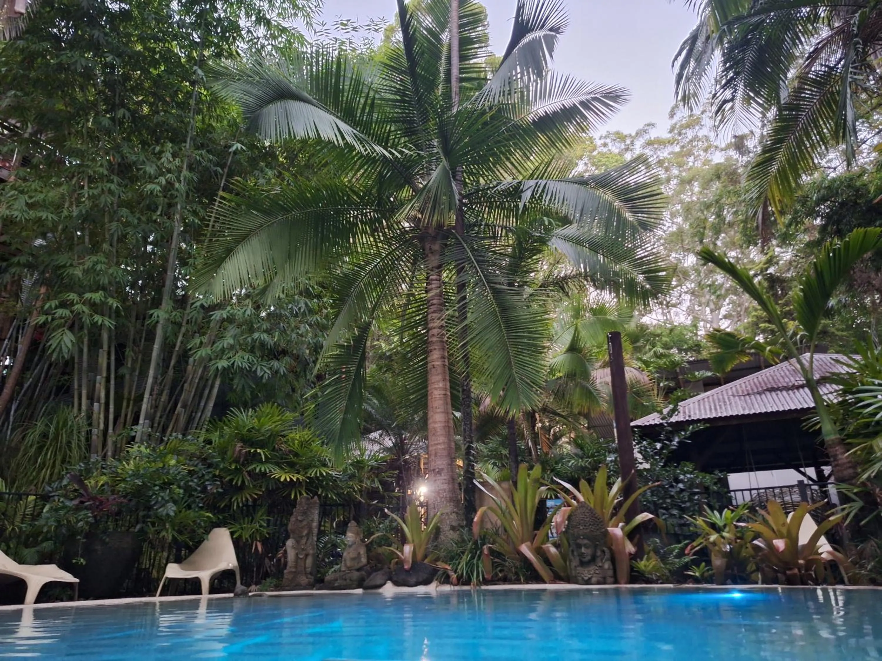 Swimming pool in Alaya Ascend