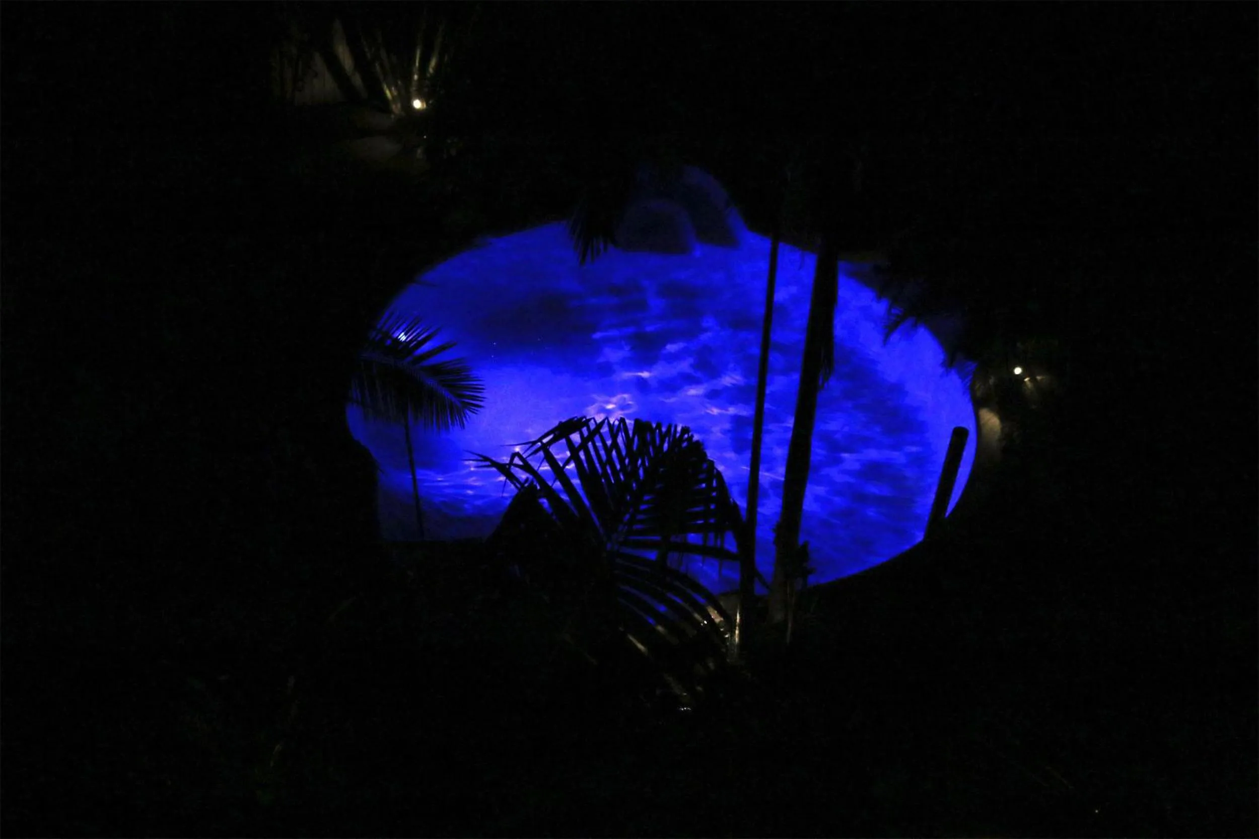 Swimming pool in Alaya Ascend