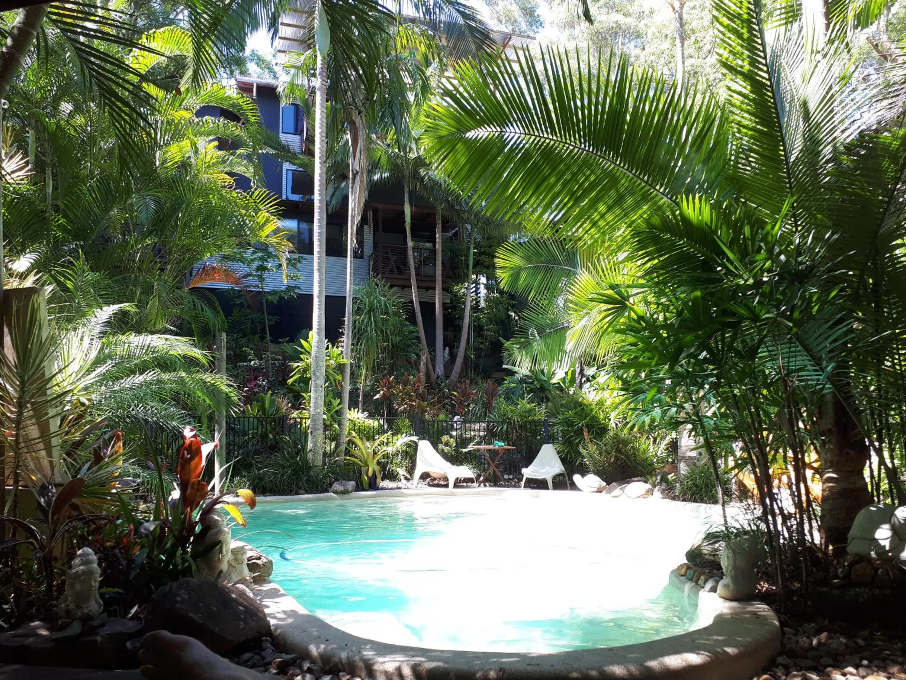 Pool view in Alaya Ascend