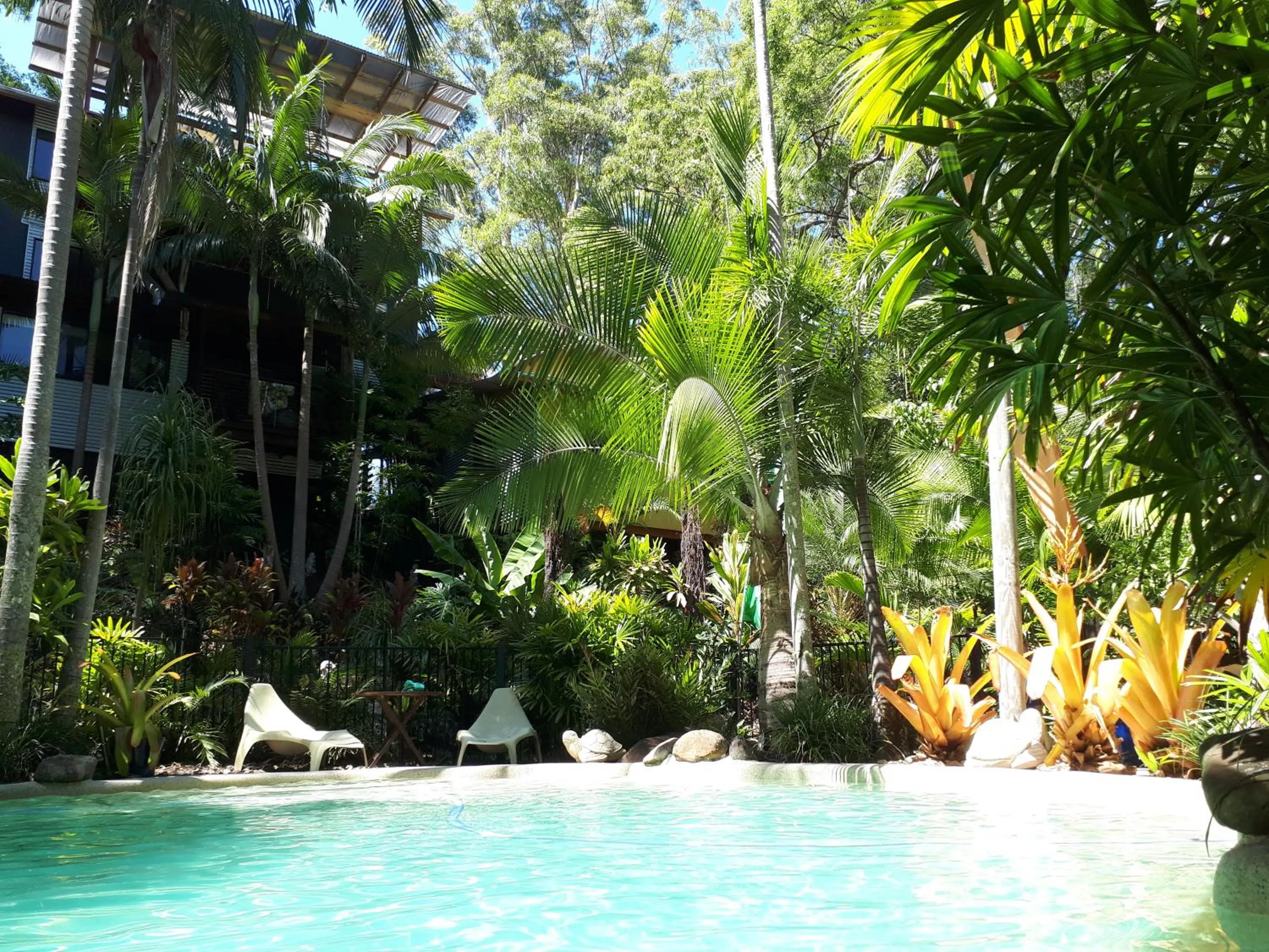 Swimming pool in Alaya Ascend